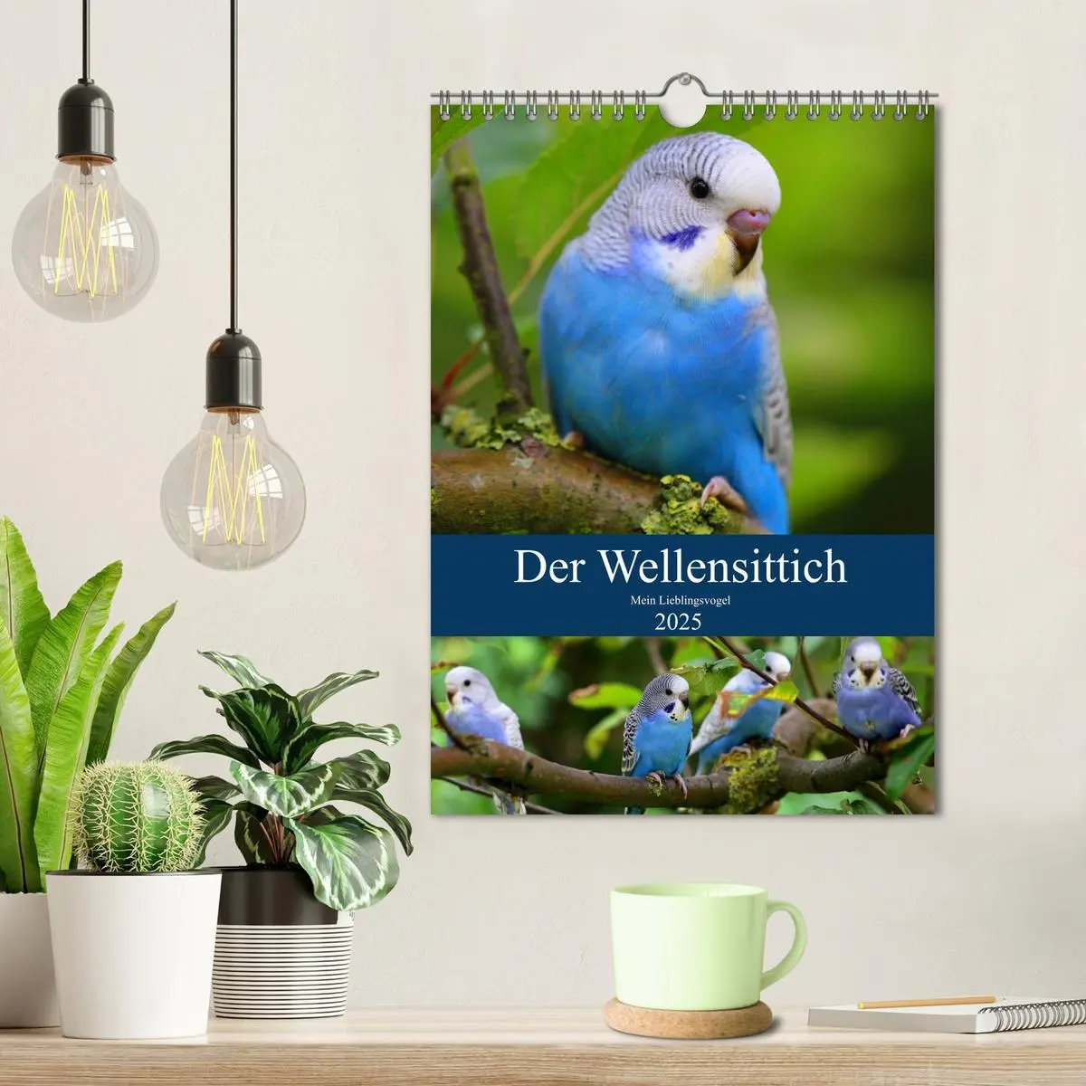 Bild: 9783435937189 | Der Wellensittich - Mein Lieblingsvogel (Wandkalender 2025 DIN A4...