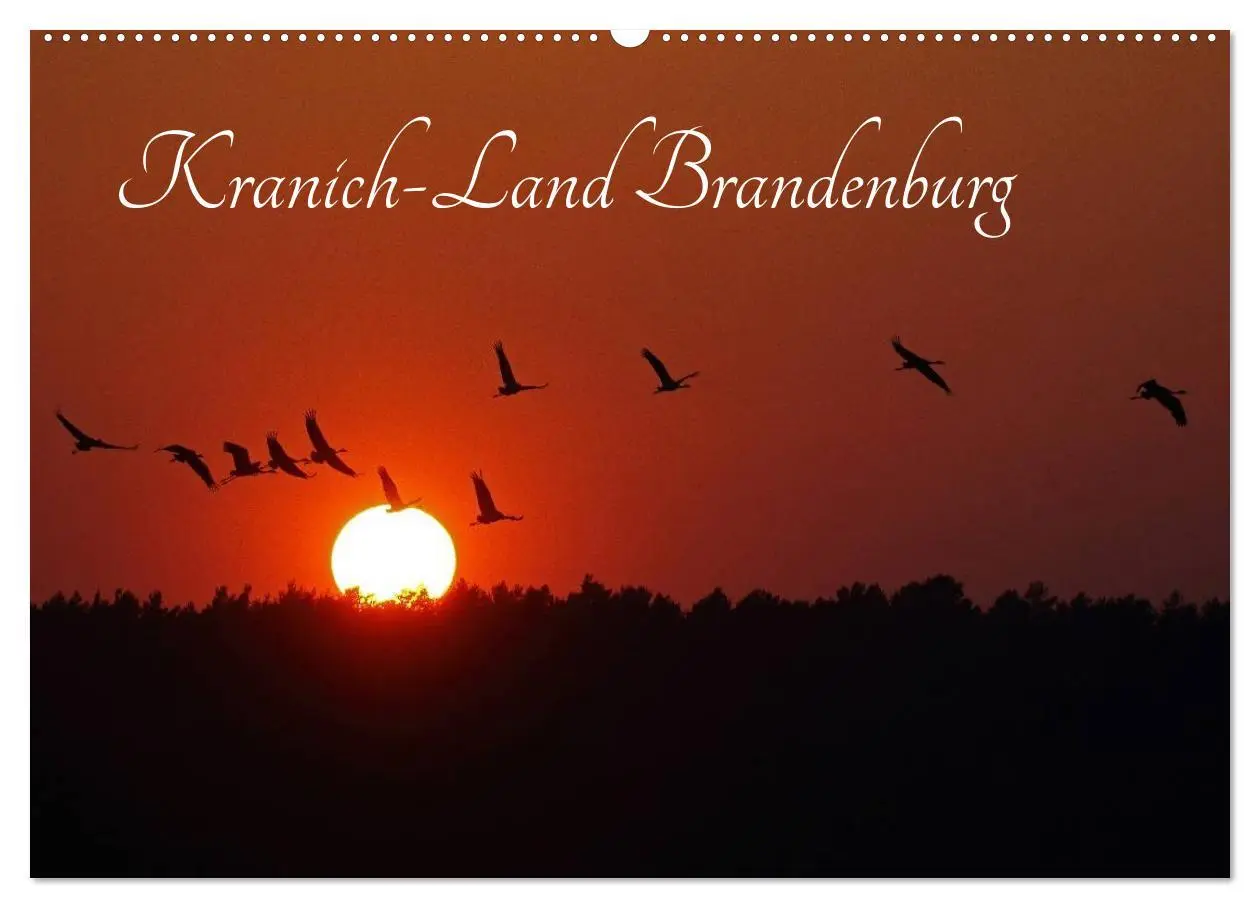 Cover: 9783516117189 | Kranich-Land Brandenburg (Wandkalender 2026 DIN A2 quer), CALVENDO...