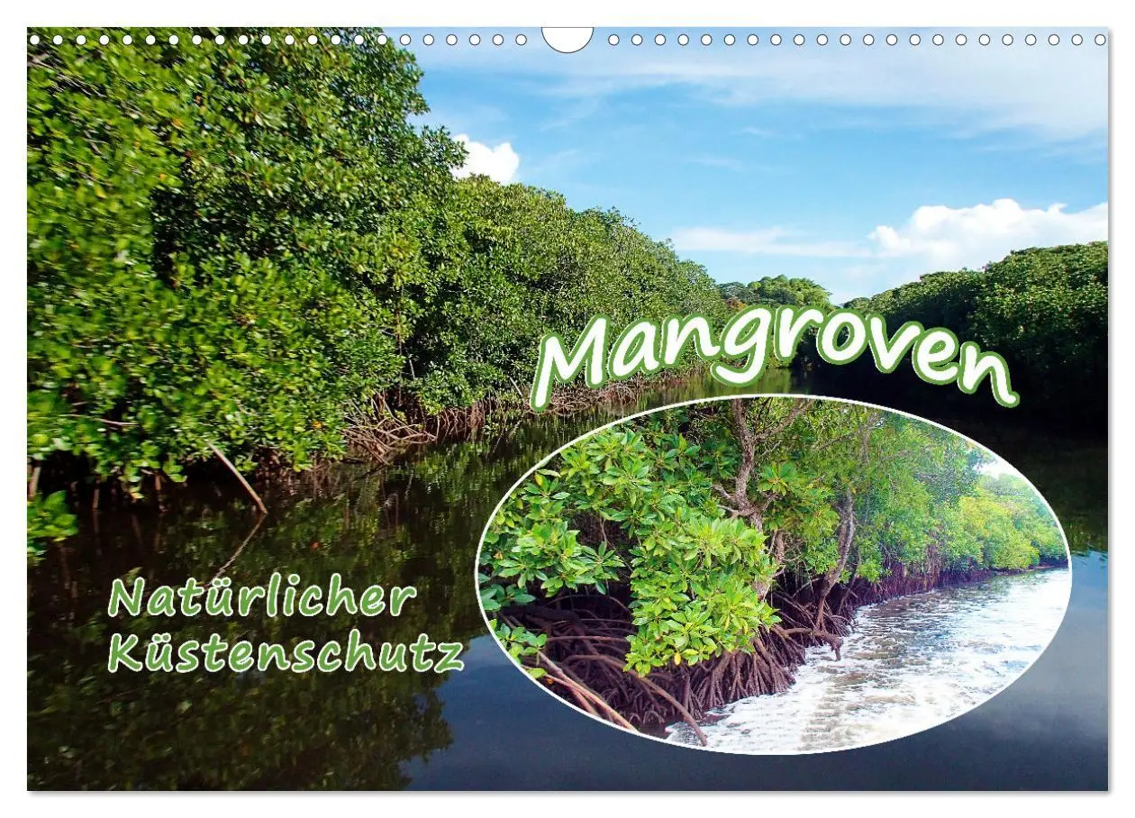 Cover: 9783457567289 | Mangroven - Natürlicher Küstenschutz (Wandkalender 2026 DIN A3...