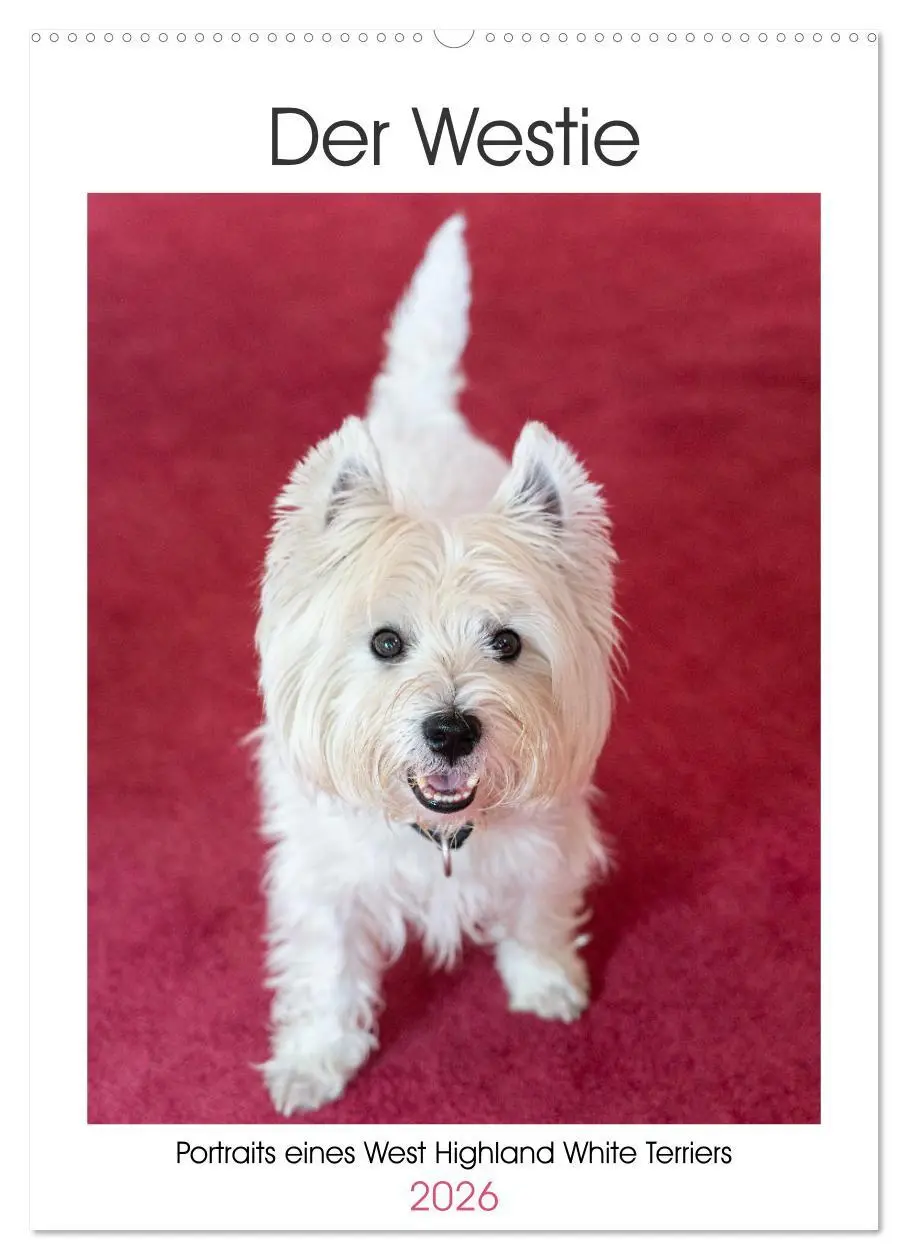 Cover: 9783516277289 | Der Westie - Portrait eines West Highland White Terriers...