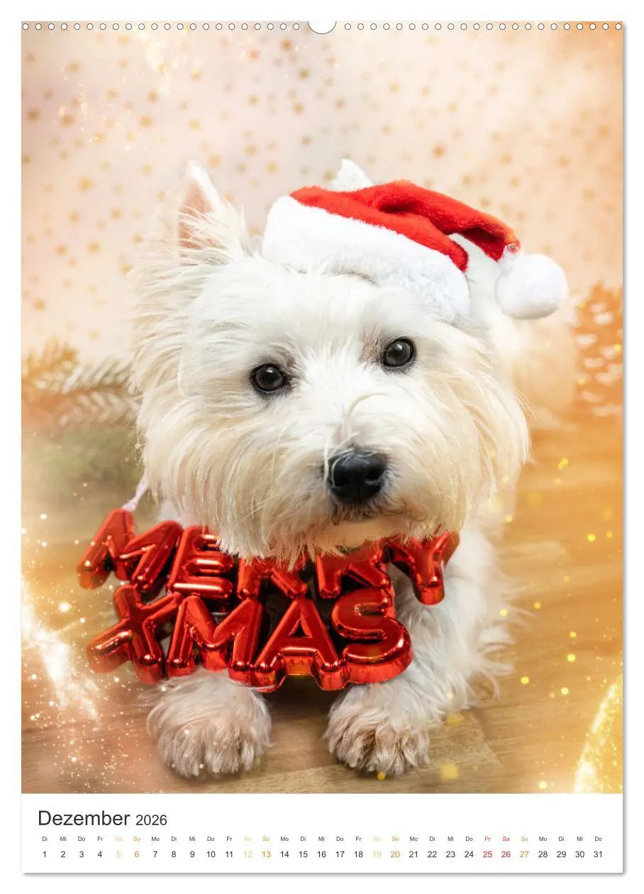 Bild: 9783516277289 | Der Westie - Portrait eines West Highland White Terriers...