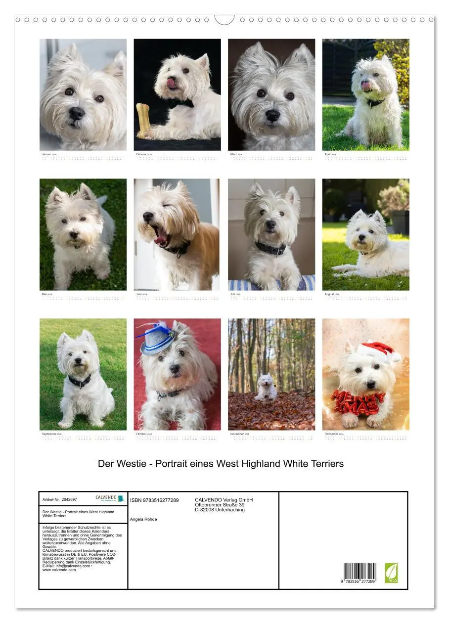 Bild: 9783516277289 | Der Westie - Portrait eines West Highland White Terriers...