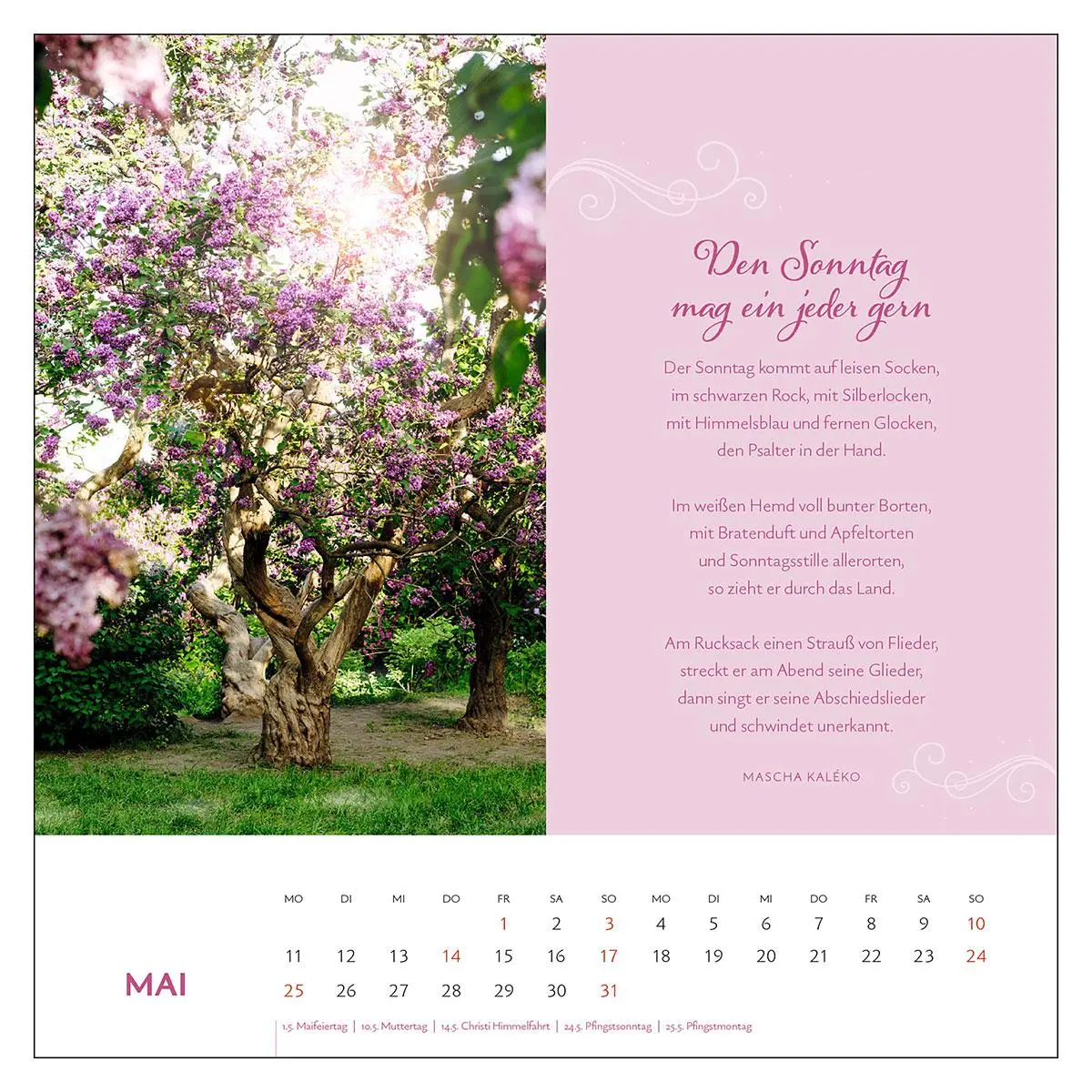 Bild: 9783746267289 | Mascha Kaléko 2026 | Der poetische Postkartenkalender | Kalender