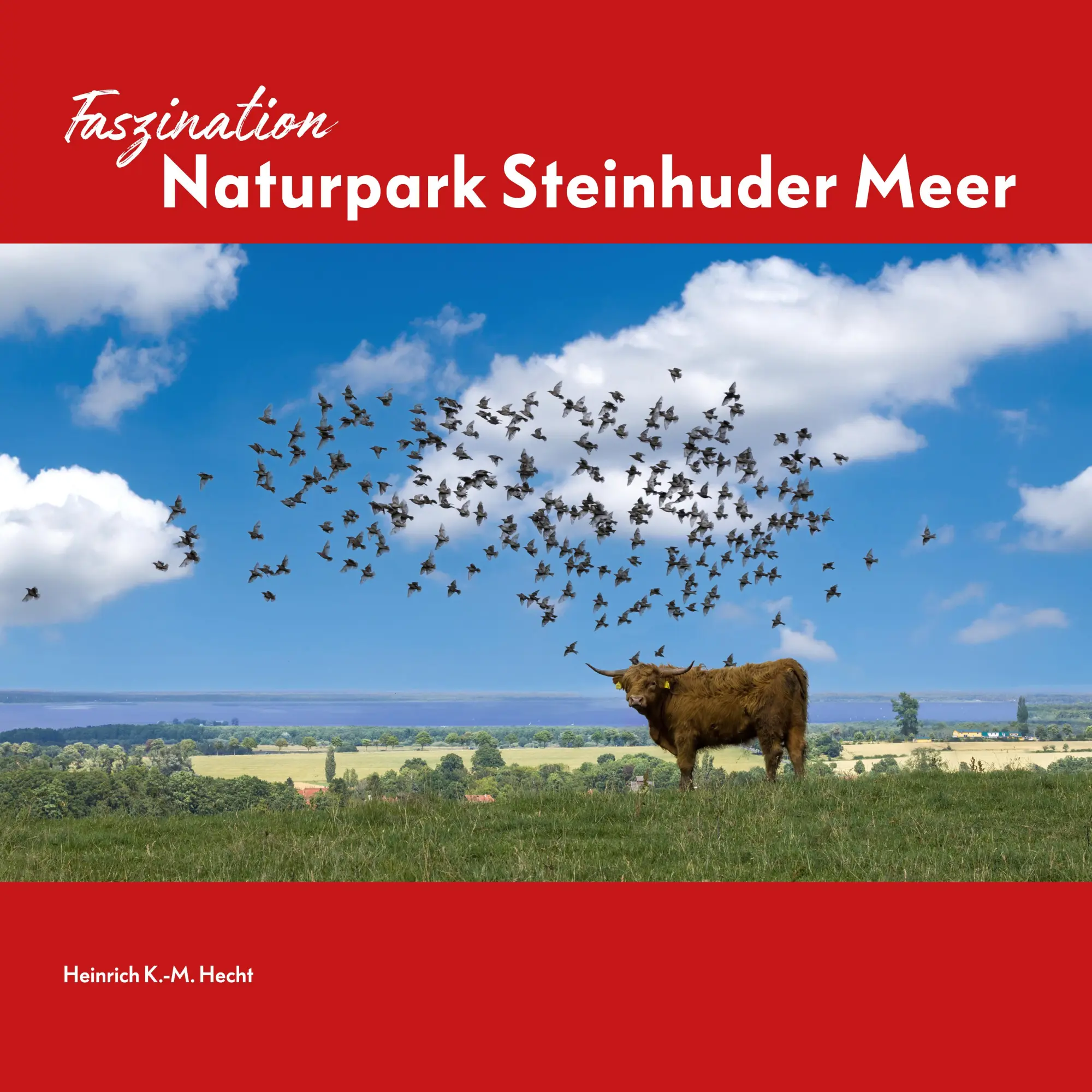 Cover: 9783945497289 | Faszination Naturpark Steinhuder Meer | Heinrich K.-M. Hecht | Buch