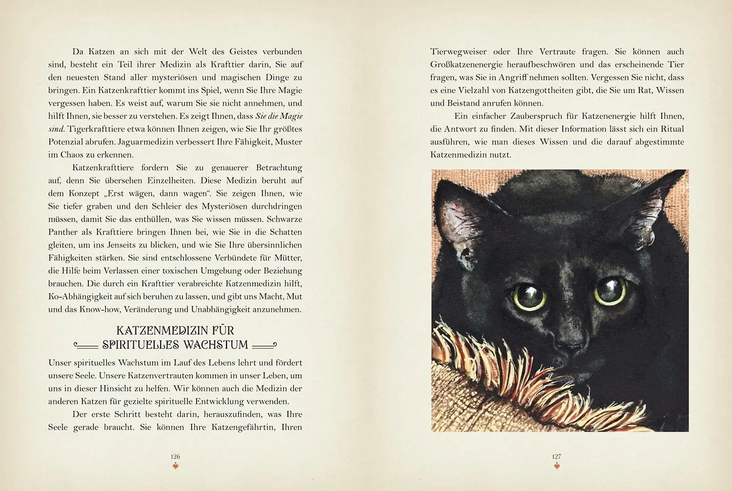 Bild: 9789463597289 | Katzenmagie | Rieka Moonsong | Buch | 160 S. | Deutsch | 2024