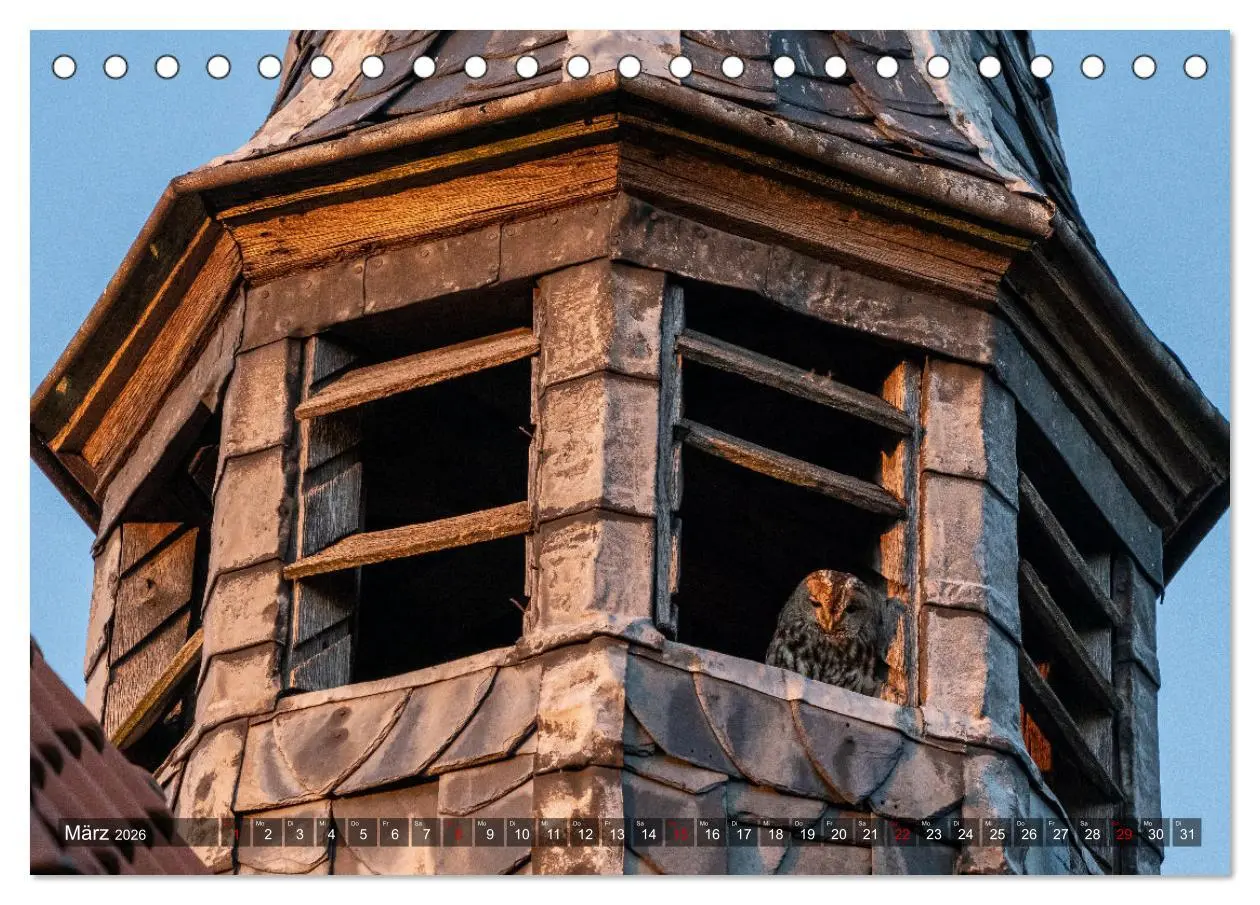 Bild: 9783457627389 | Lieblingsort Westerholt (Tischkalender 2026 DIN A5 quer), CALVENDO...