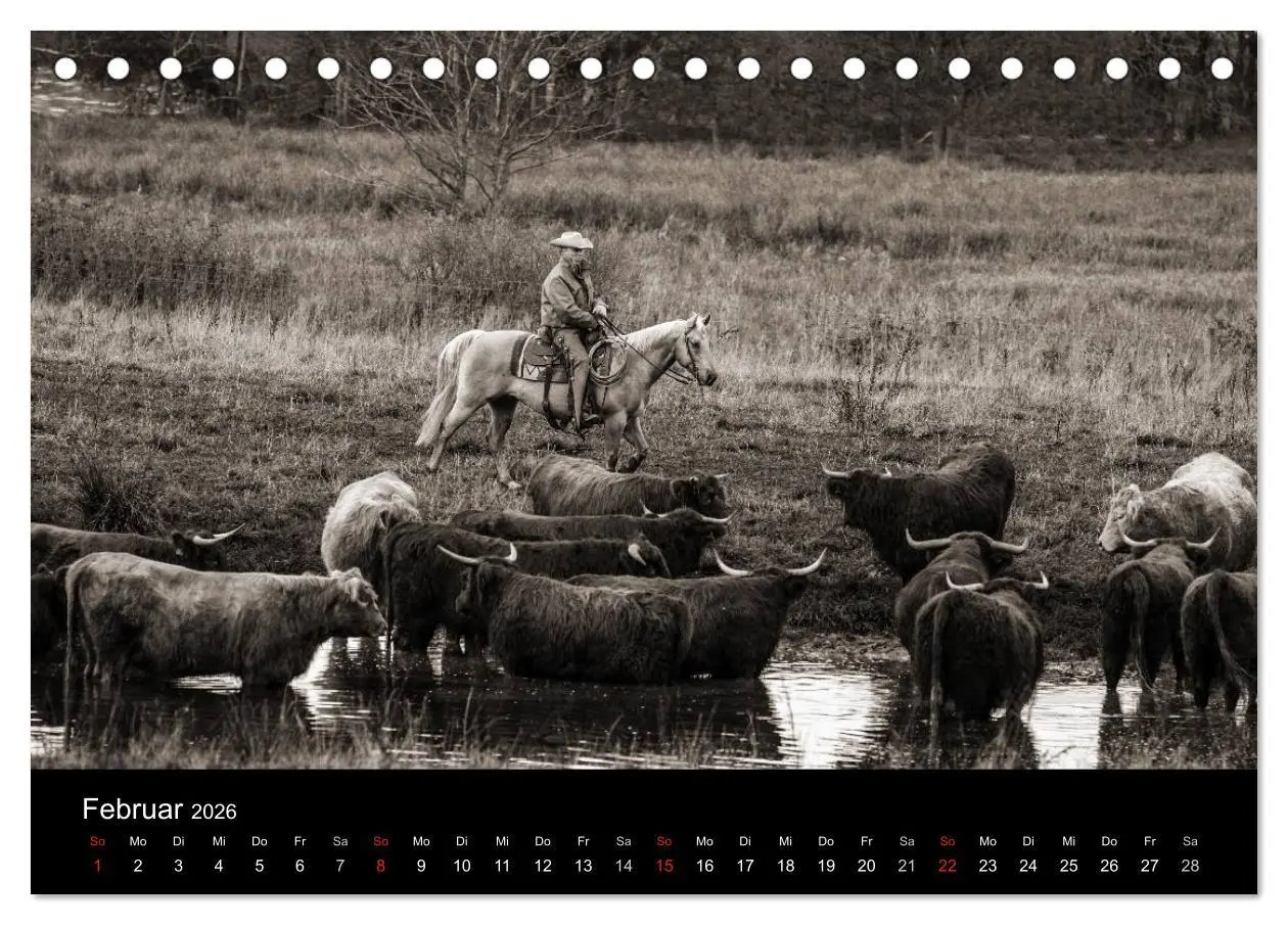 Bild: 9783516027389 | Westernreiten (Tischkalender 2026 DIN A5 quer), CALVENDO...