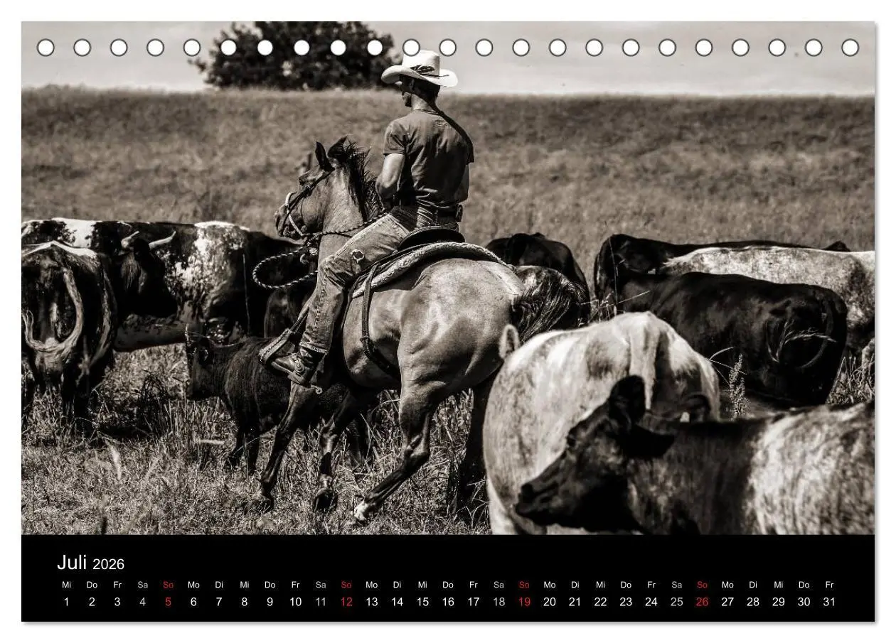 Bild: 9783516027389 | Westernreiten (Tischkalender 2026 DIN A5 quer), CALVENDO...