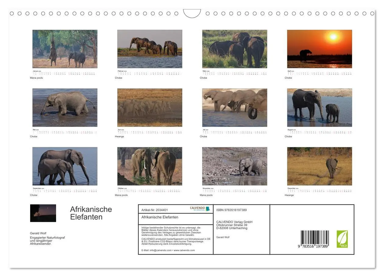 Bild: 9783516197389 | Afrikanische Elefanten (Wandkalender 2026 DIN A3 quer), CALVENDO...