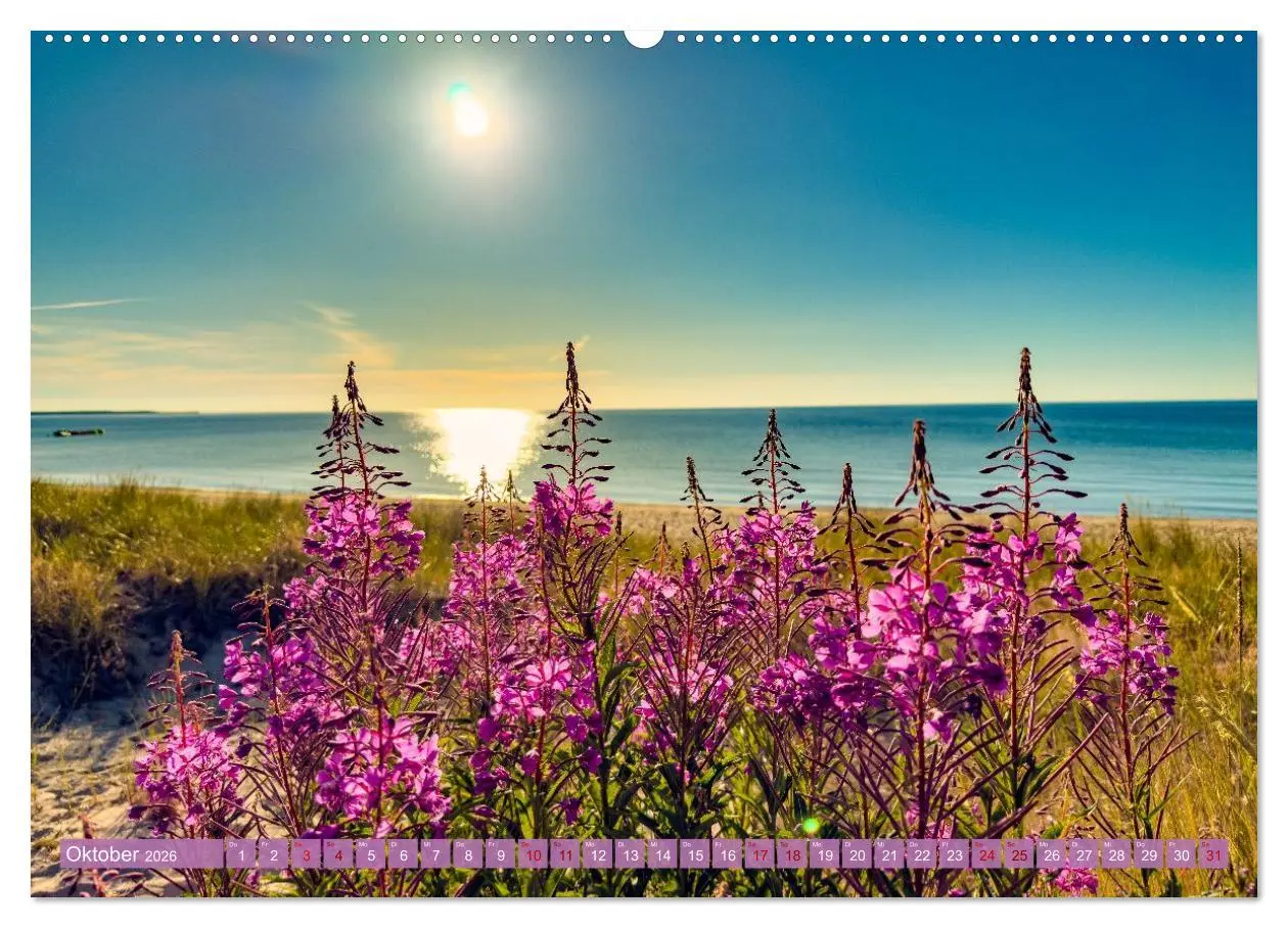 Bild: 9783516647389 | SCHWEDEN wild-romantisch (hochwertiger Premium Wandkalender 2026...