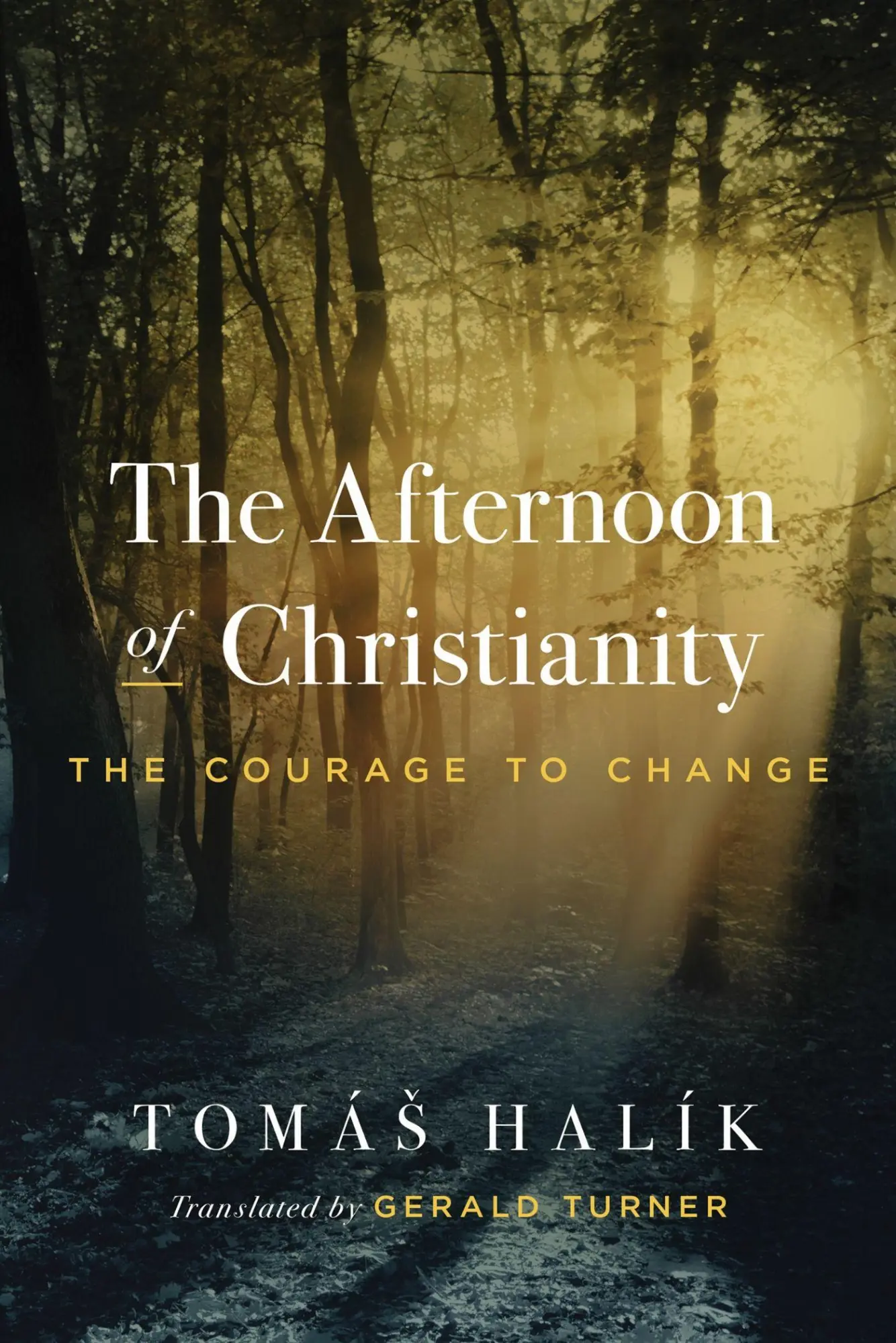 Cover: 9780268207489 | The Afternoon of Christianity | The Courage to Change | Tomas Halik