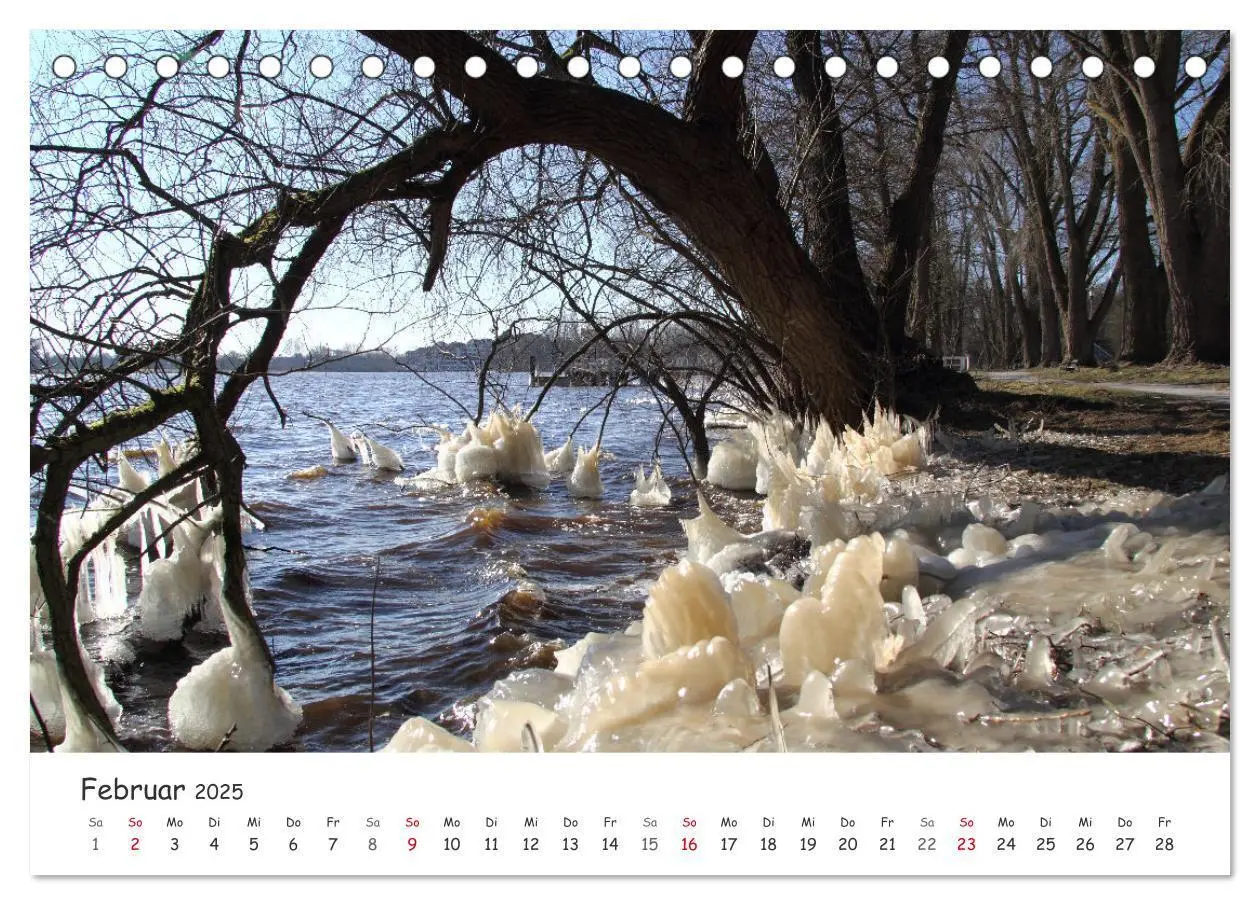 Bild: 9783435077489 | Zauberhaftes Ammerland (Tischkalender 2025 DIN A5 quer), CALVENDO...