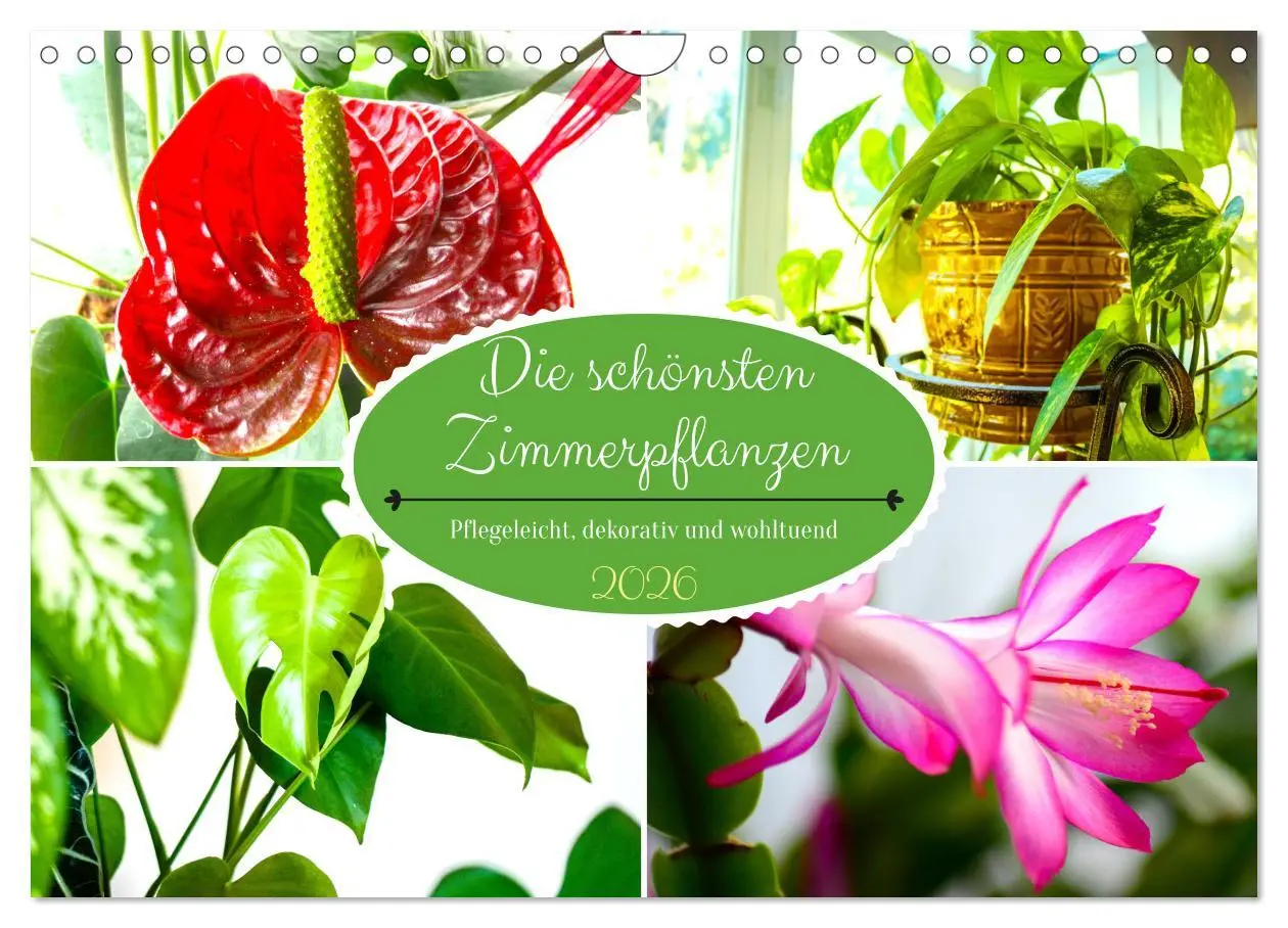 Cover: 9783457547489 | Die schönsten Zimmerpflanzen. Pflegeleicht, dekorativ und wohltuend...