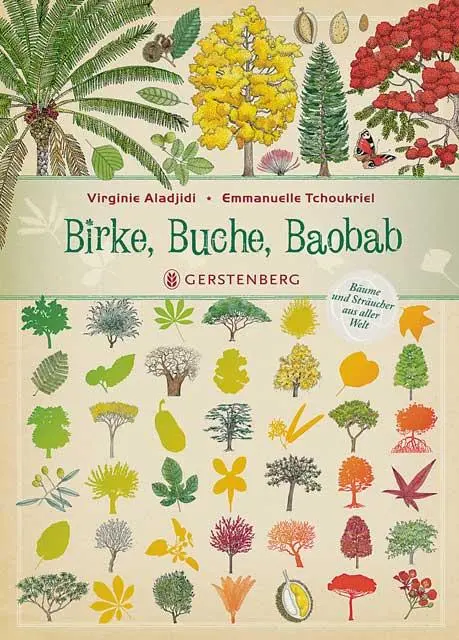 Cover: 9783836957489 | Birke, Buche, Baobab | Bäume und Sträucher aus aller Welt | Aladjidi