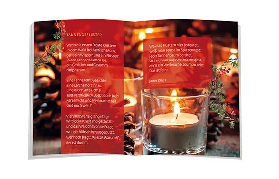 Bild: 9783869177489 | Auf Tannenspitzen Lichtlein sitzen | Weihnachtswünsche | Broschüre