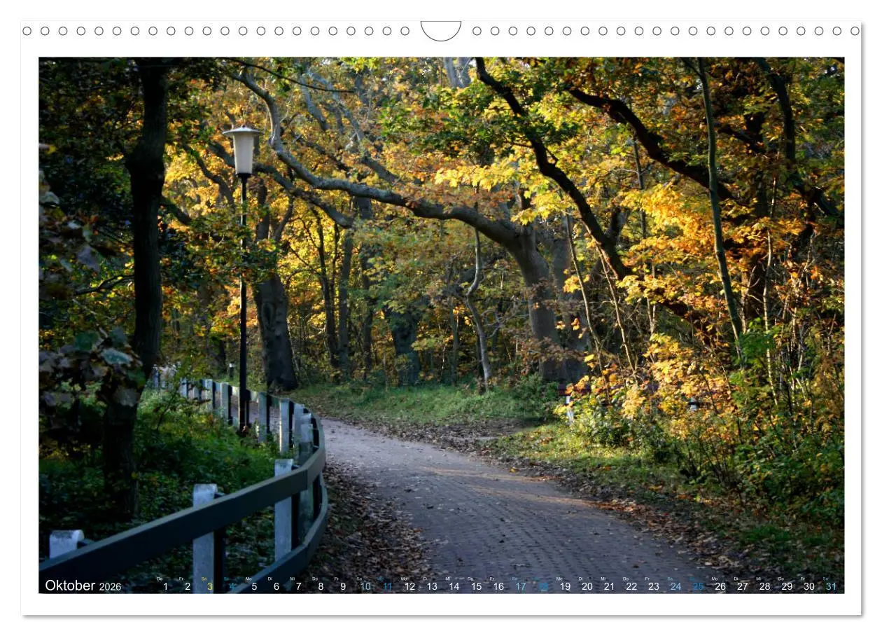 Bild: 9783457847589 | OP SPIEKEROOG (Wandkalender 2026 DIN A3 quer), CALVENDO Monatskalender