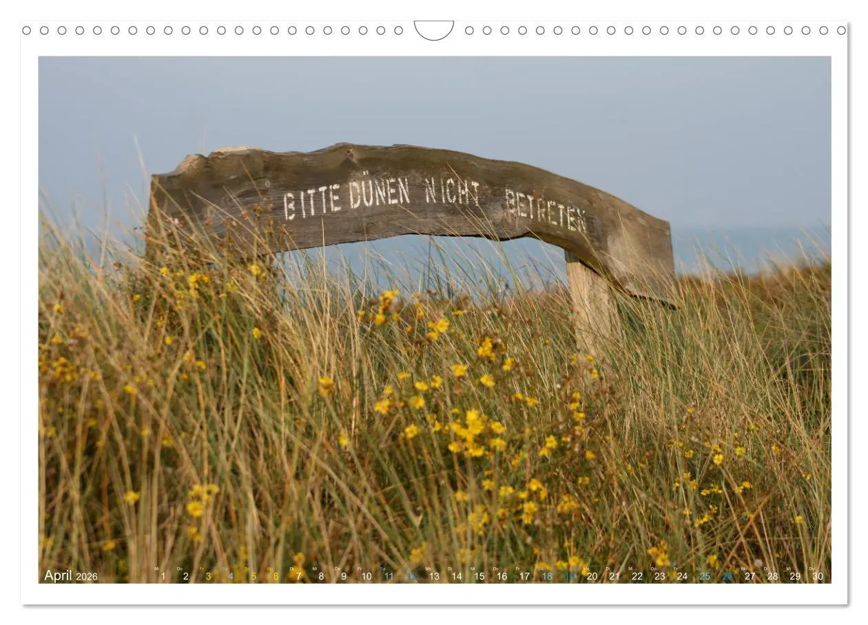 Bild: 9783457847589 | OP SPIEKEROOG (Wandkalender 2026 DIN A3 quer), CALVENDO Monatskalender