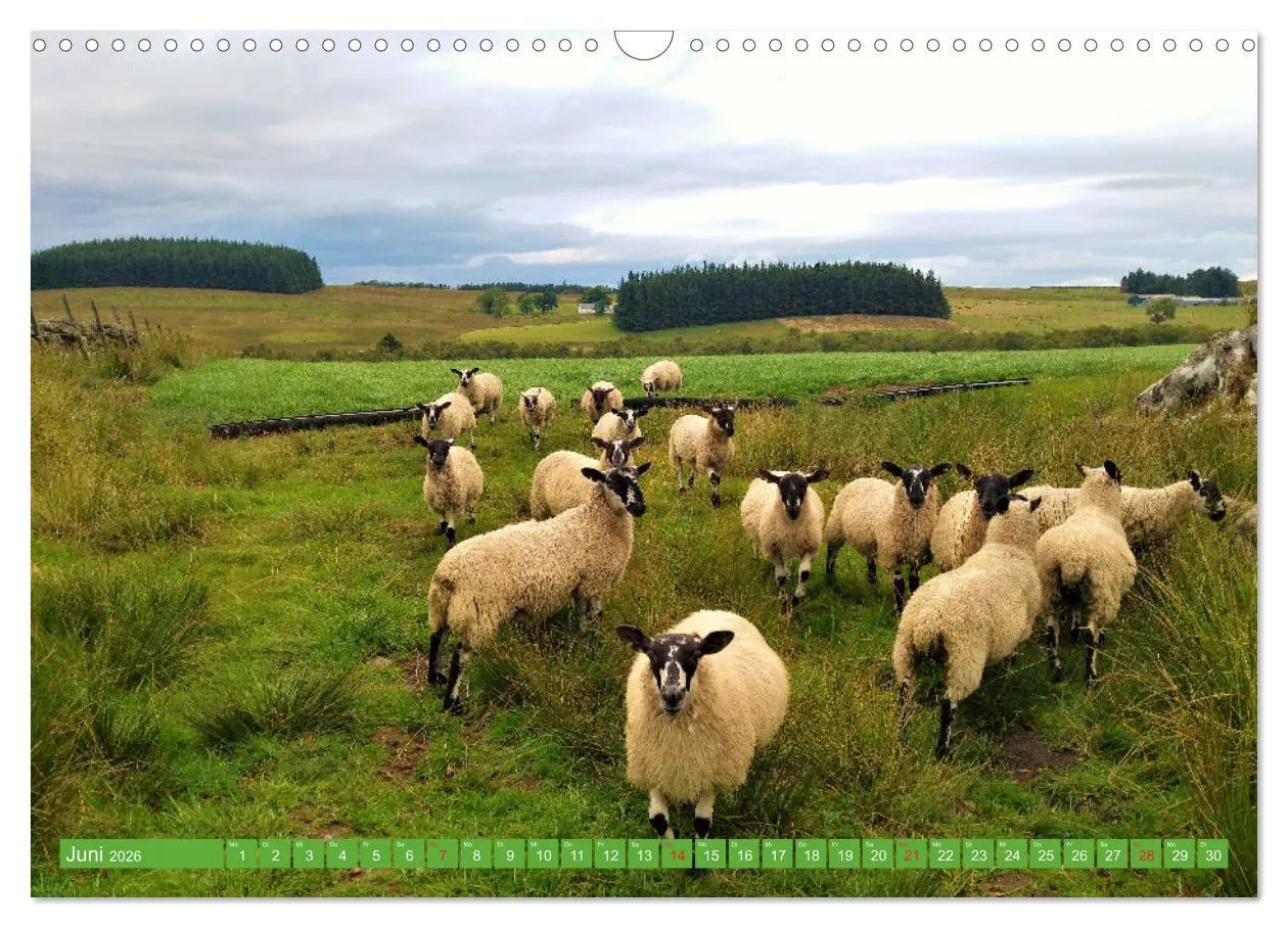 Bild: 9783457917589 | Schottland - Impressionen von magischen Orten (Wandkalender 2026...