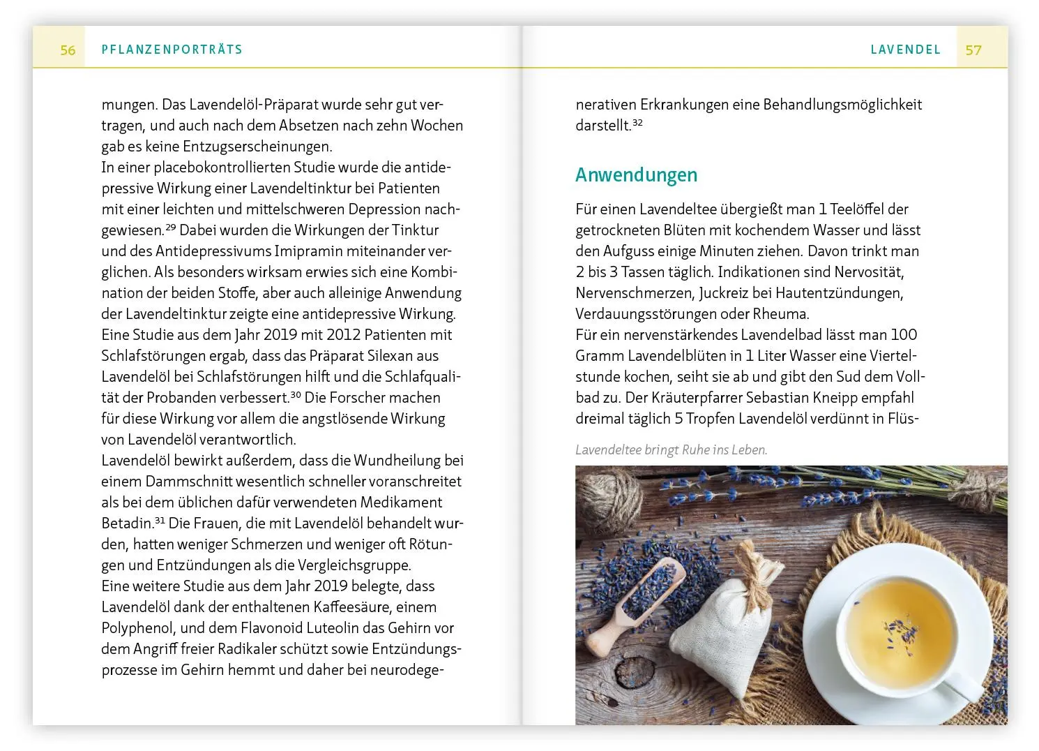 Bild: 9783863747589 | Heilsame Küchenkräuter | Barbara Simonsohn | Taschenbuch | 159 S.