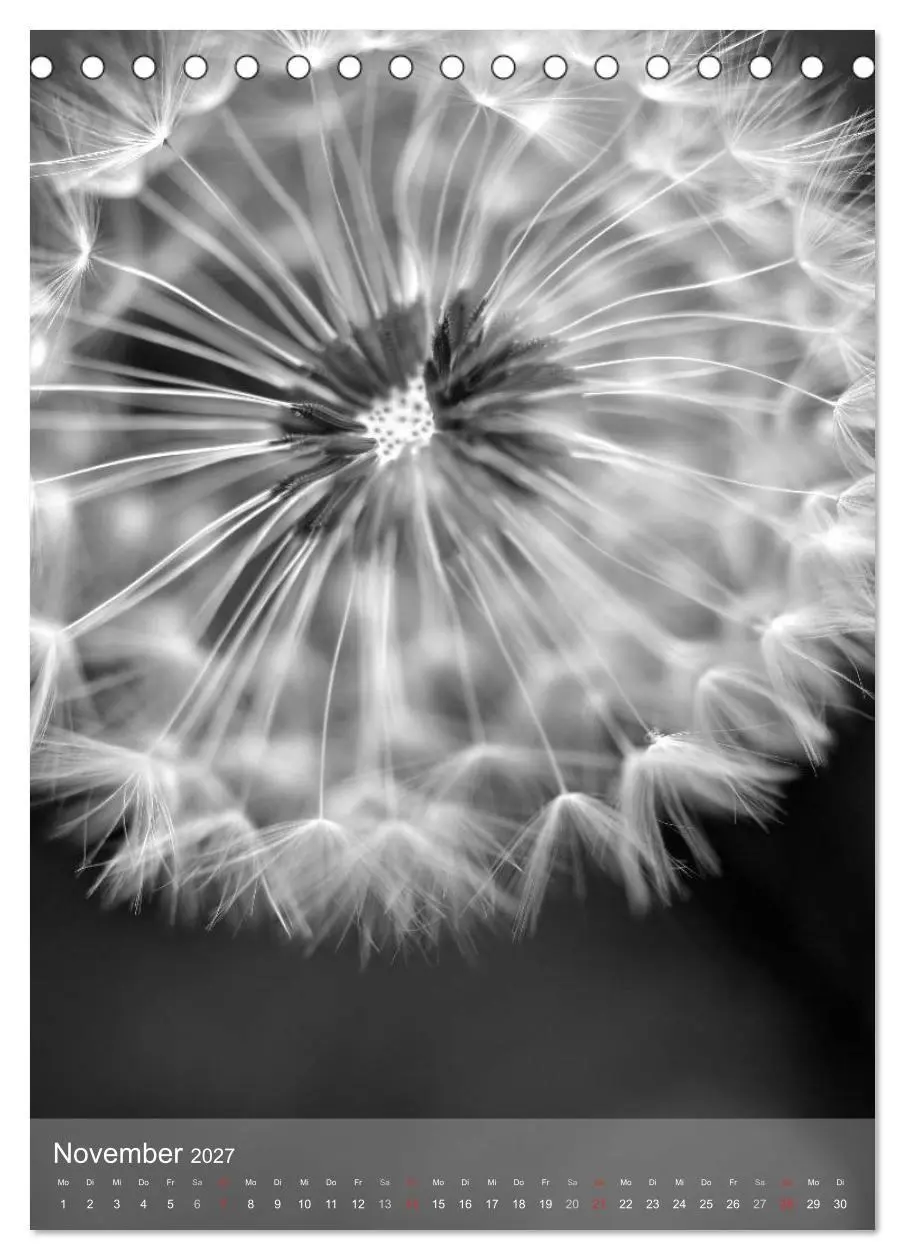 Bild: 9783569947689 | Monochrome Blüten - In Schwarz-Weiß Bildern durch das Jahr...