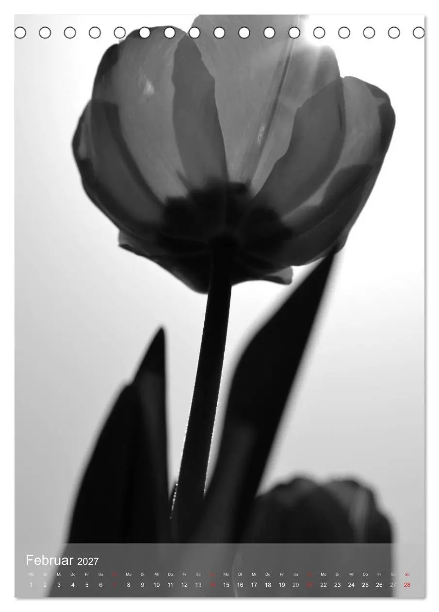Bild: 9783569947689 | Monochrome Blüten - In Schwarz-Weiß Bildern durch das Jahr...