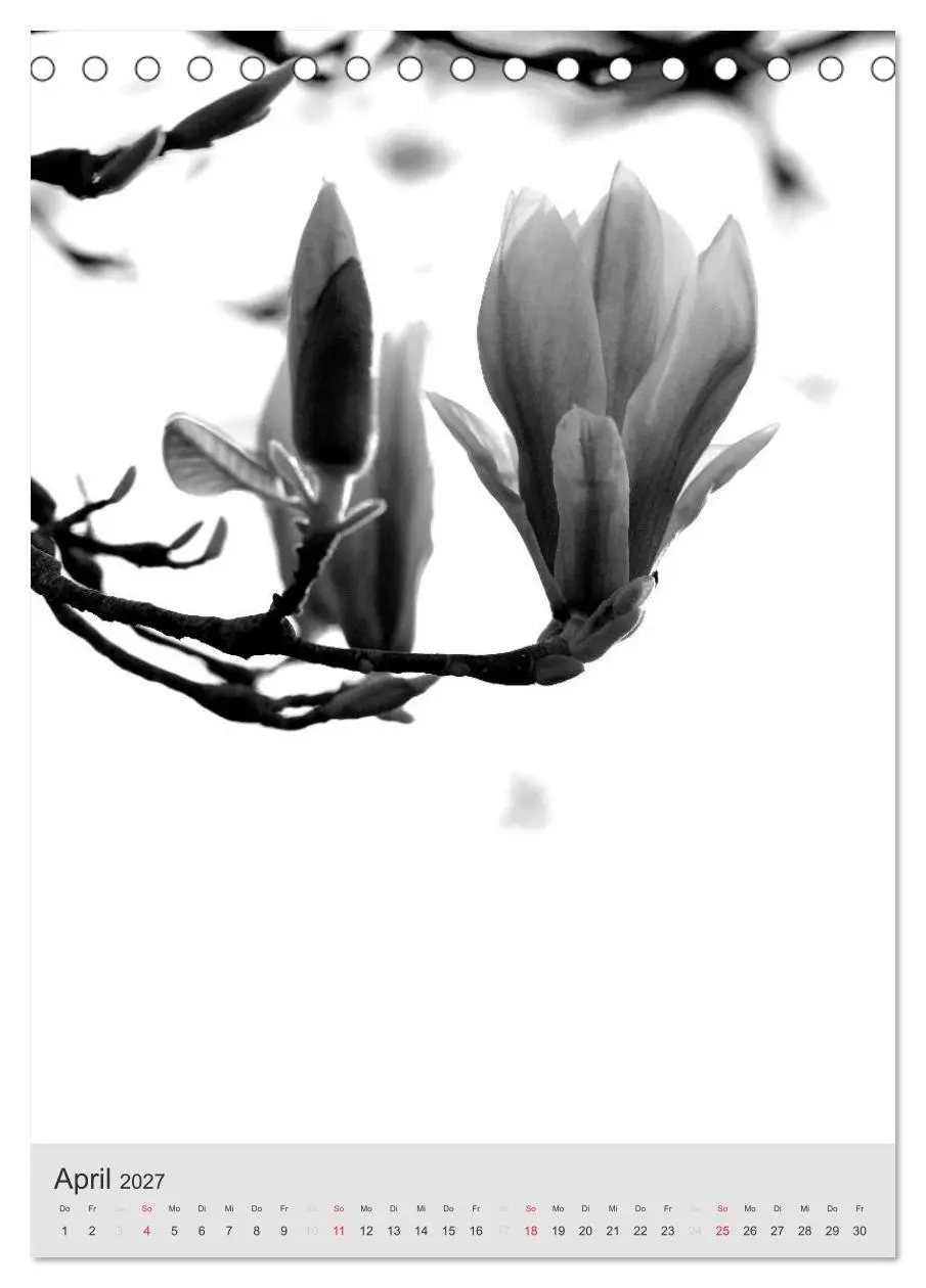 Bild: 9783569947689 | Monochrome Blüten - In Schwarz-Weiß Bildern durch das Jahr...