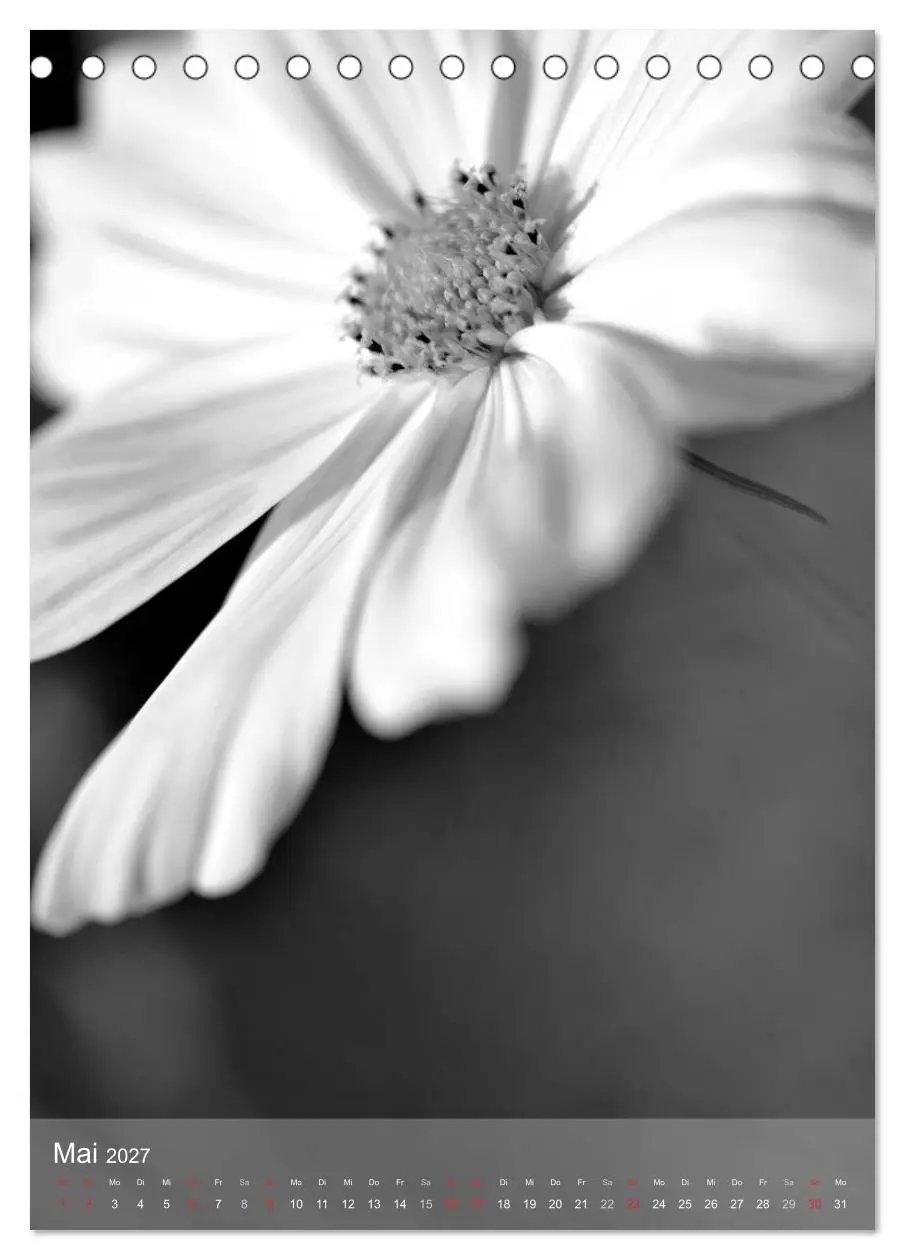 Bild: 9783569947689 | Monochrome Blüten - In Schwarz-Weiß Bildern durch das Jahr...
