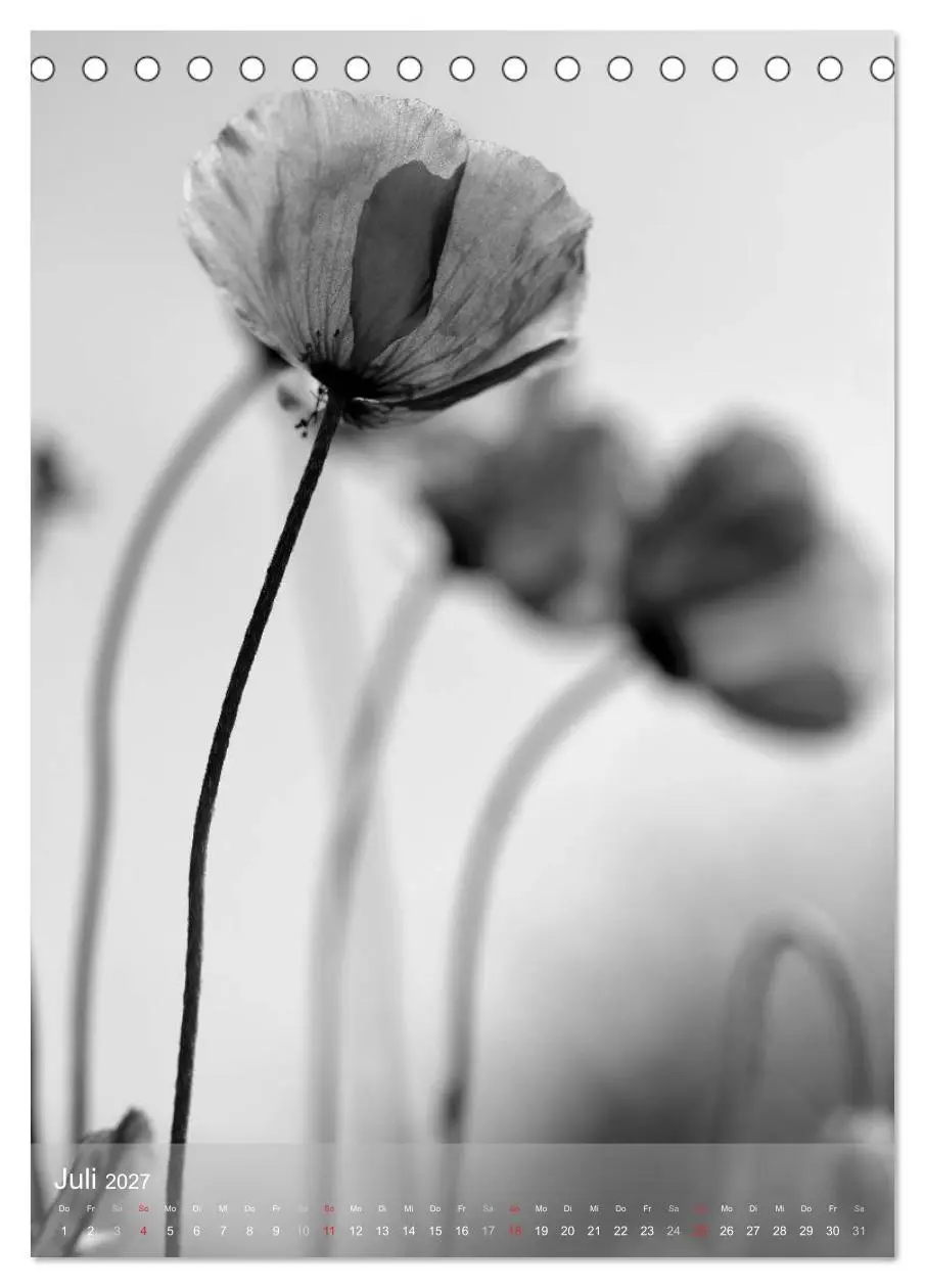 Bild: 9783569947689 | Monochrome Blüten - In Schwarz-Weiß Bildern durch das Jahr...