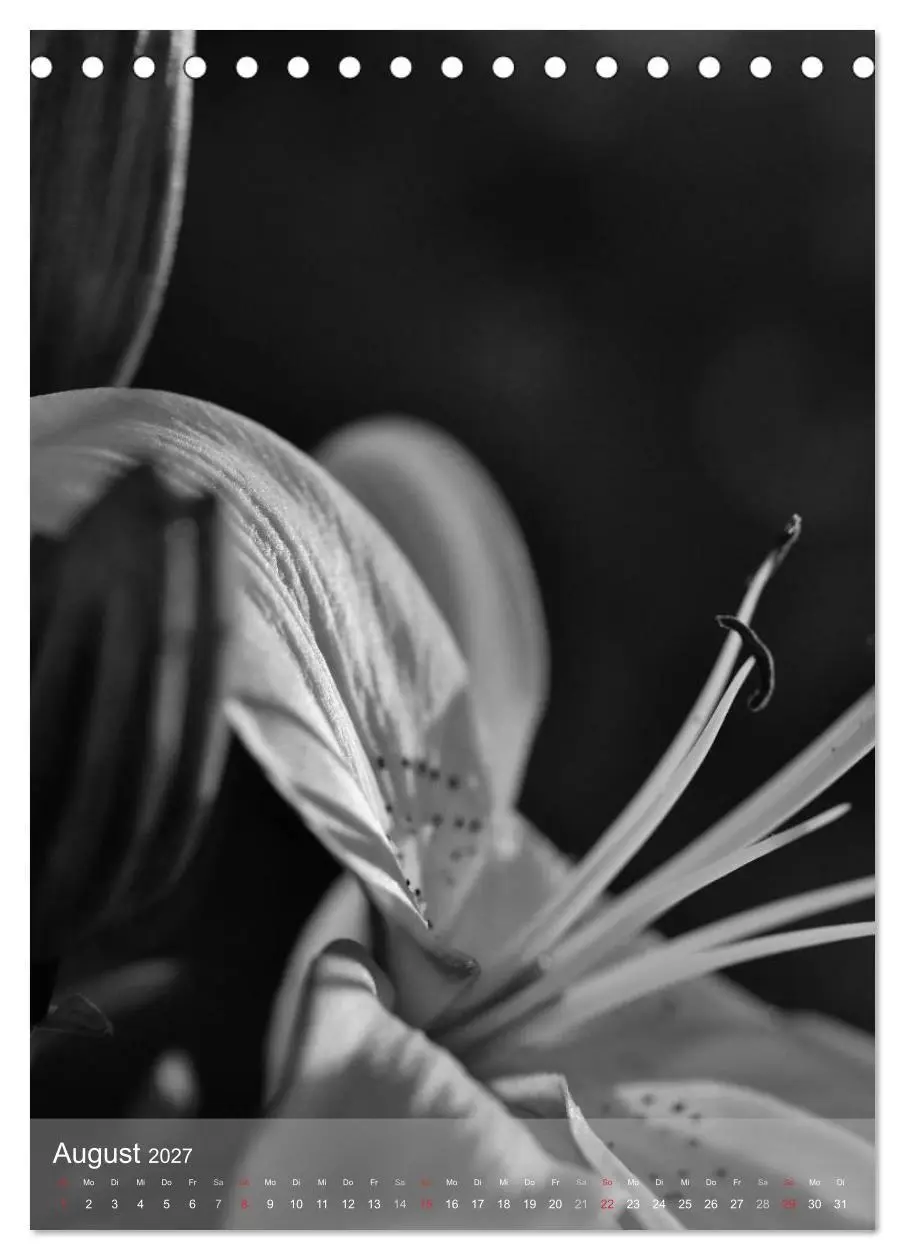 Bild: 9783569947689 | Monochrome Blüten - In Schwarz-Weiß Bildern durch das Jahr...