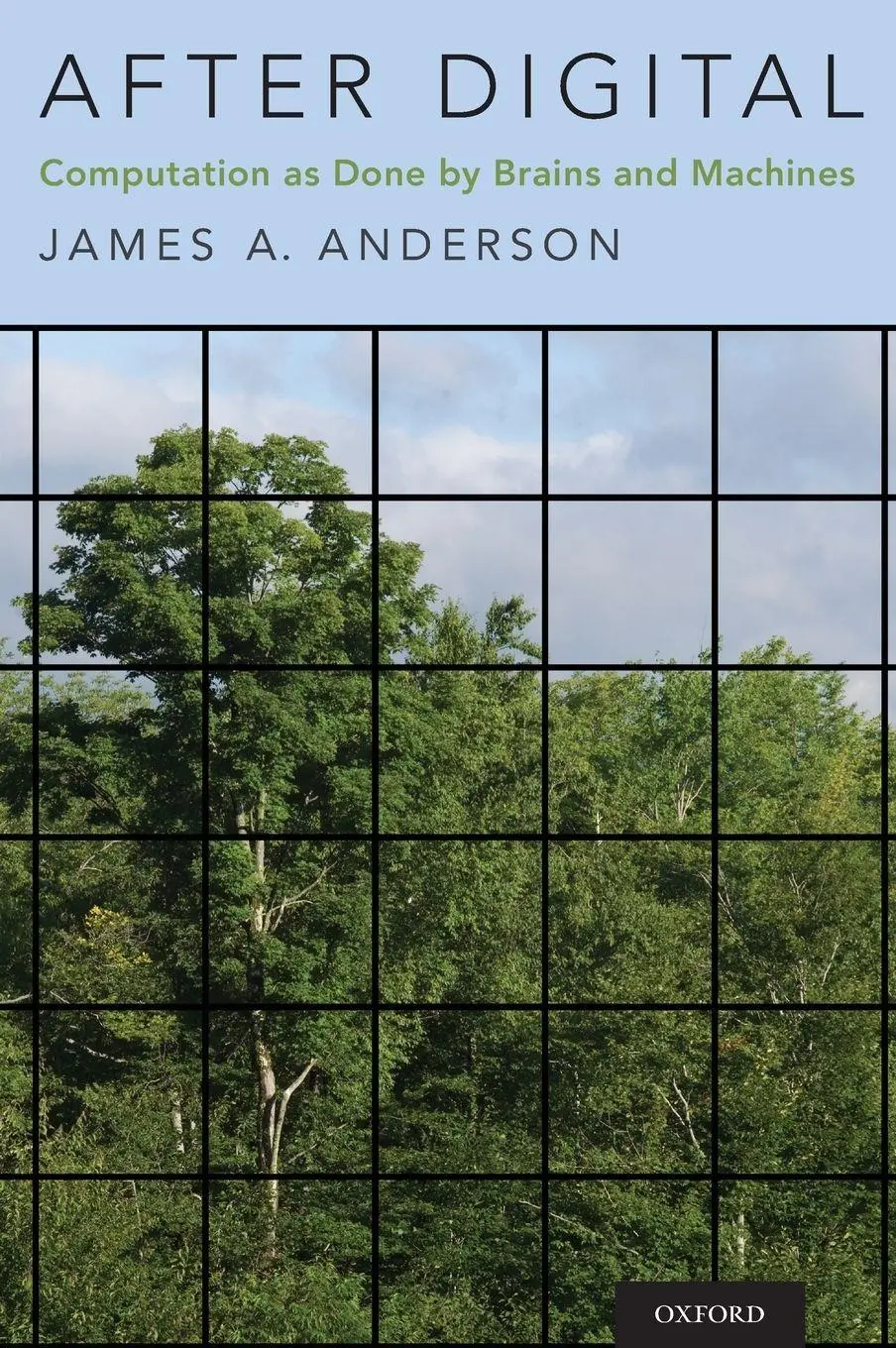 Cover: 9780199357789 | After Digital | Computation as Done by Brains and Machines | Anderson