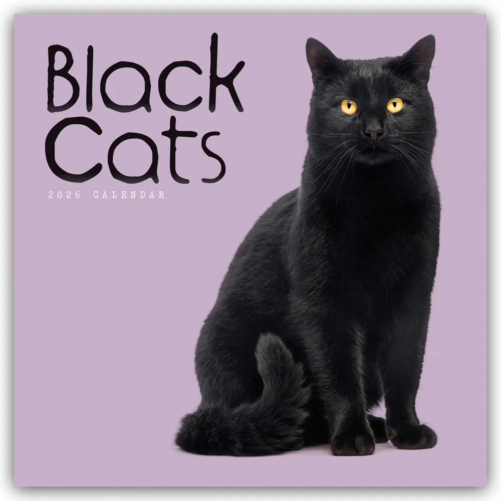 Cover: 9781529847789 | Black Cats - Schwarze Katzen 2026 - Wand-Kalender | Carousel Calendar