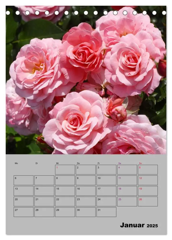 Bild: 9783435977789 | Rosen - Symbol der Liebe und Verehrung (Tischkalender 2025 DIN A5...