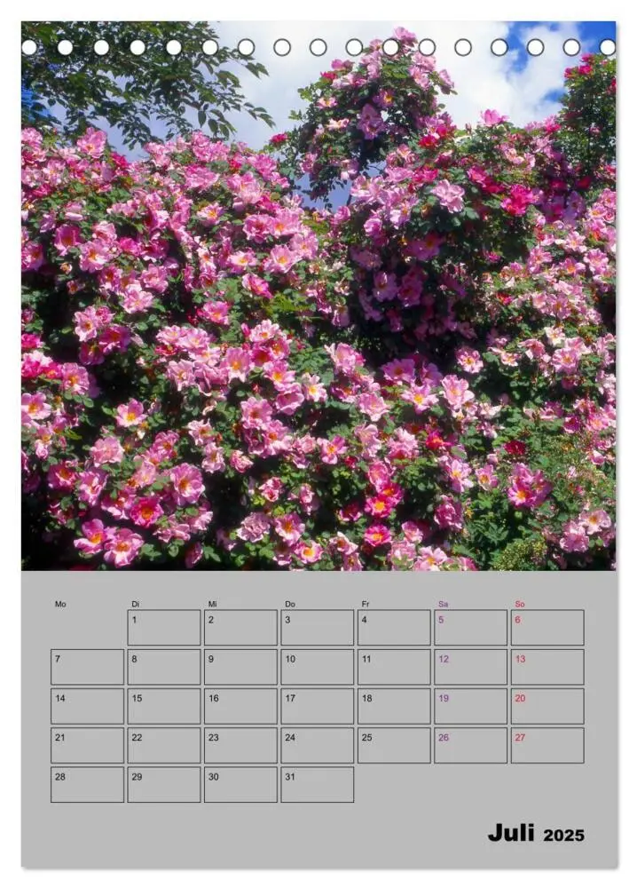 Bild: 9783435977789 | Rosen - Symbol der Liebe und Verehrung (Tischkalender 2025 DIN A5...