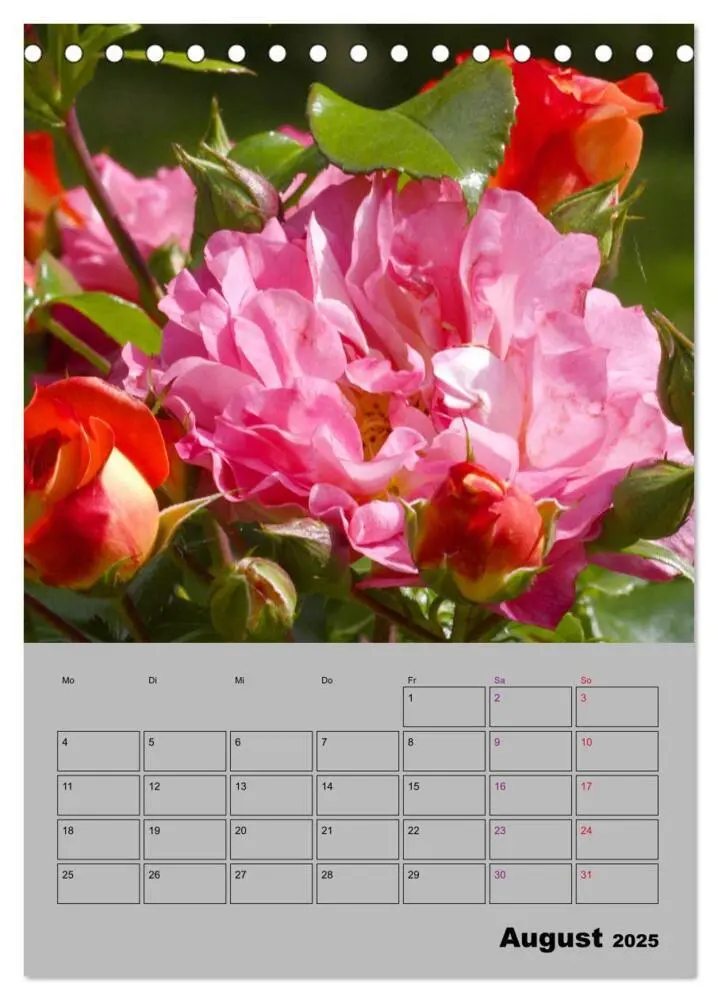 Bild: 9783435977789 | Rosen - Symbol der Liebe und Verehrung (Tischkalender 2025 DIN A5...
