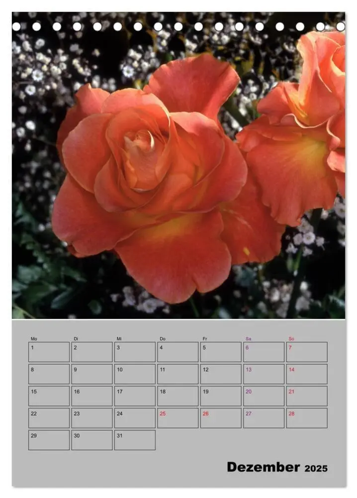 Bild: 9783435977789 | Rosen - Symbol der Liebe und Verehrung (Tischkalender 2025 DIN A5...
