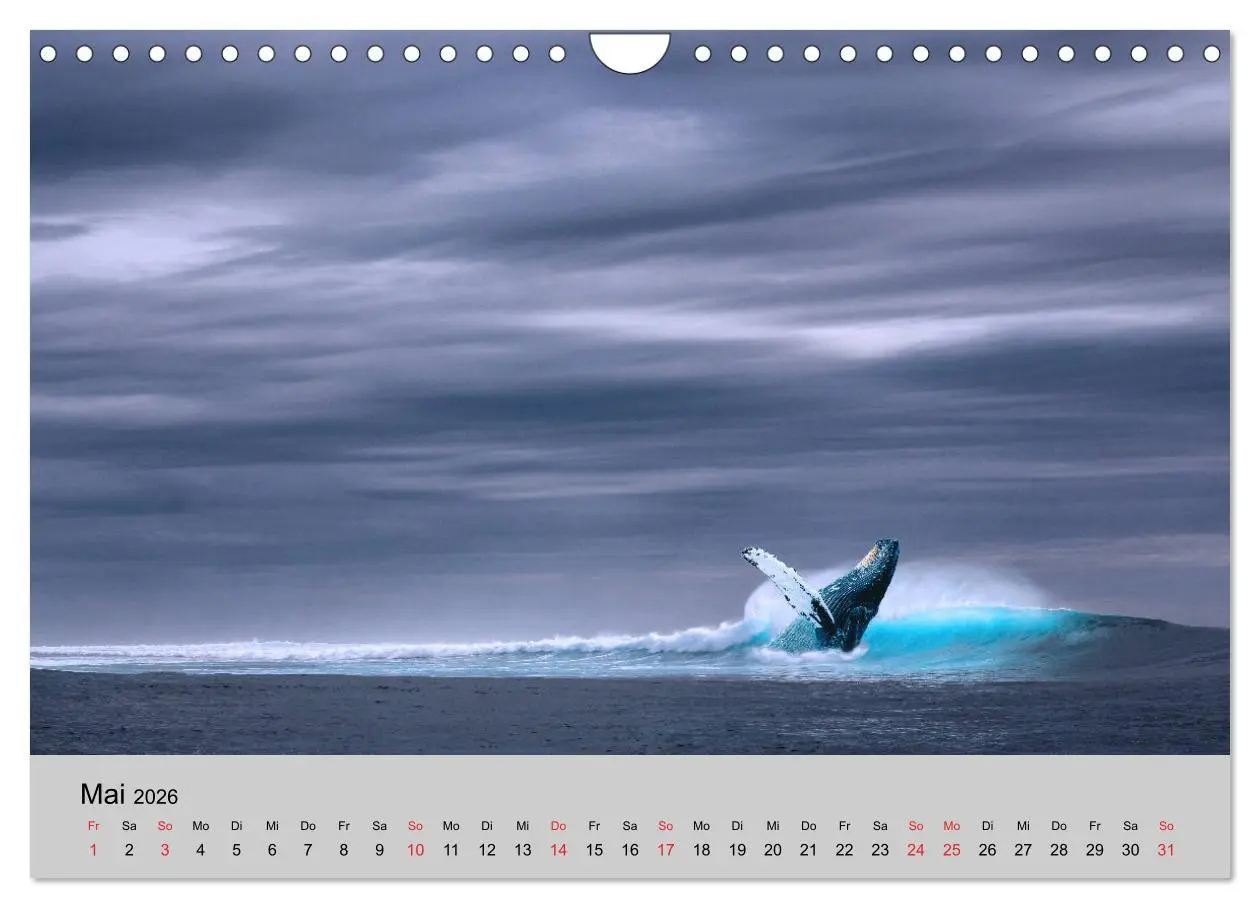 Bild: 9783457827789 | Am Meer. Sehnsucht Wasser (Wandkalender 2026 DIN A4 quer), CALVENDO...