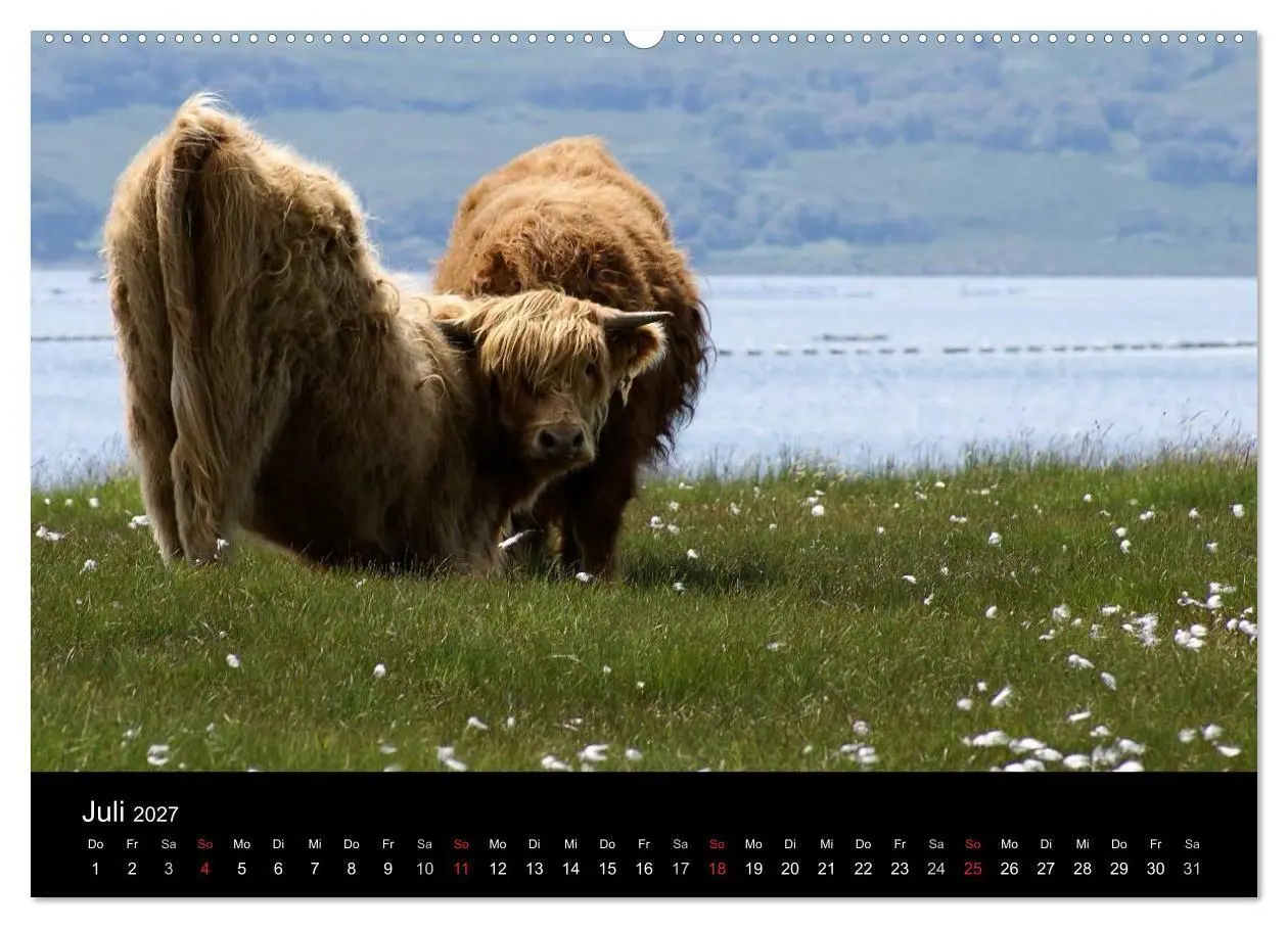 Bild: 9783594207789 | Schottland 2027 (hochwertiger Premium Wandkalender 2027 DIN A2...
