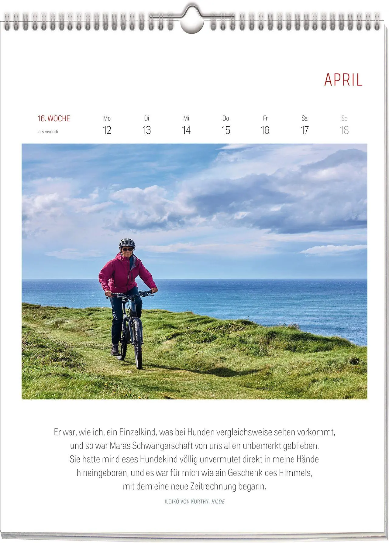 Bild: 9783747207789 | Literarischer Fahrrad Kalender 2027 | Wochenkalender | Vivendi Ars