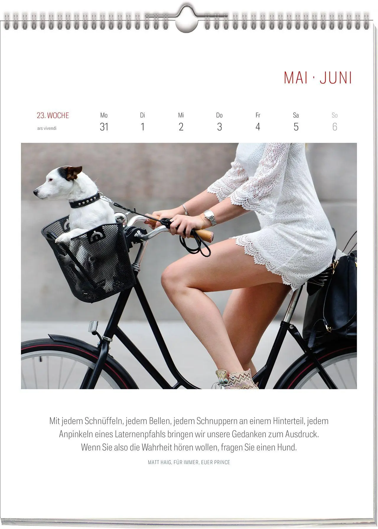 Bild: 9783747207789 | Literarischer Fahrrad Kalender 2027 | Wochenkalender | Vivendi Ars