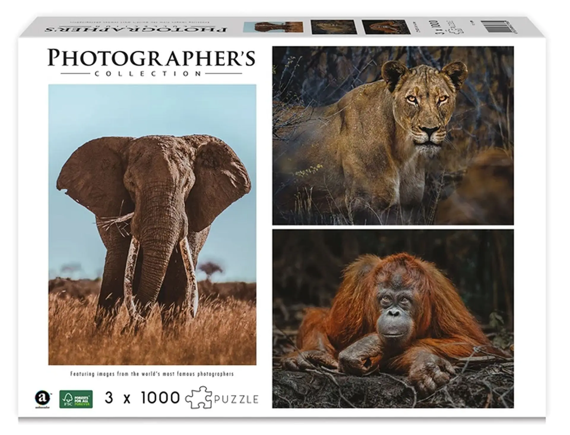 Cover: 4897049307889 | Wildtiere Blickkontakt | Donal Boyd | Mehrteiliges Produkt | Deutsch