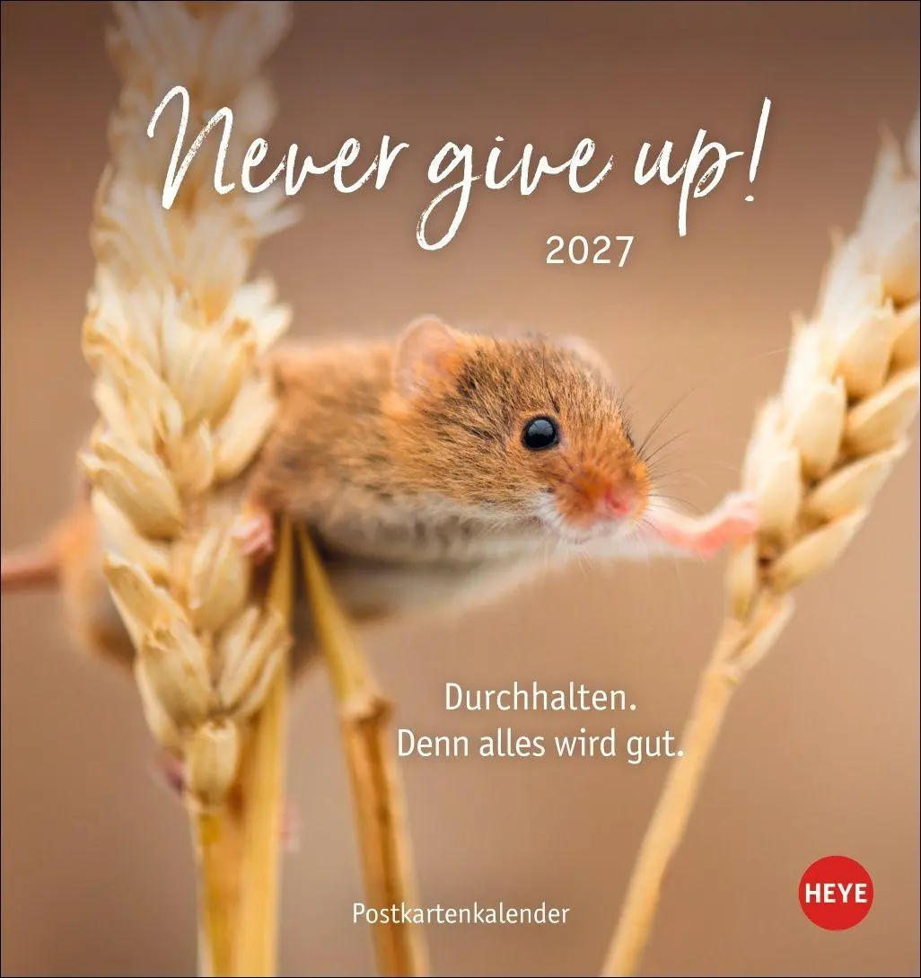 Cover: 9783756417889 | Never give up! Postkartenkalender 2027 - Durchhalten. Denn alles...