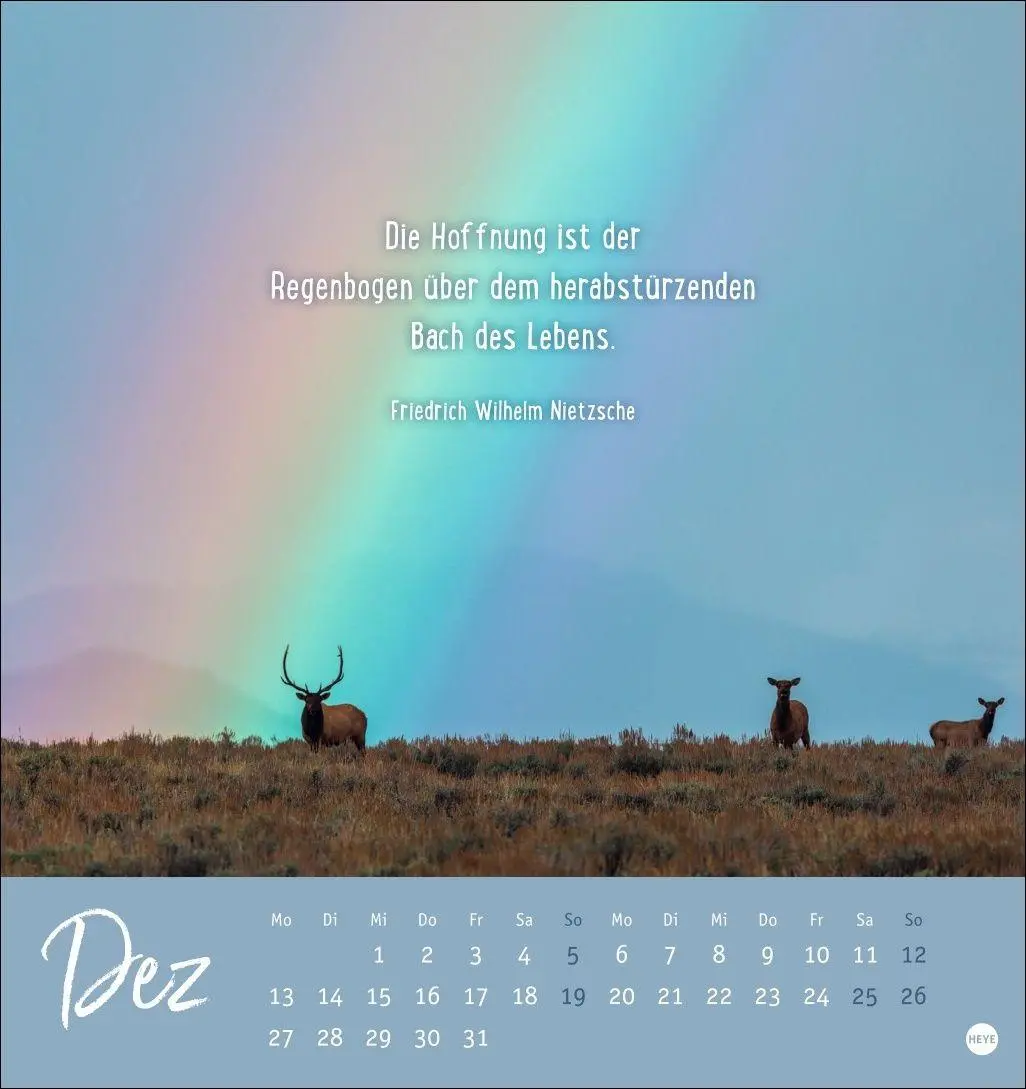 Bild: 9783756417889 | Never give up! Postkartenkalender 2027 - Durchhalten. Denn alles...