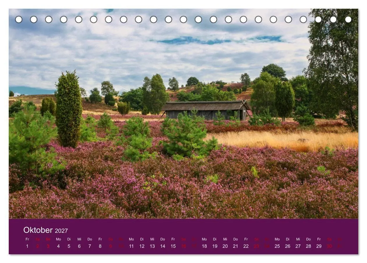 Bild: 9783569847989 | Die Heide blüht (Tischkalender 2027 DIN A5 quer), CALVENDO...