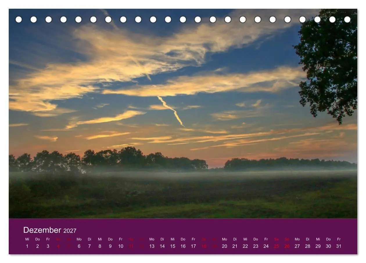 Bild: 9783569847989 | Die Heide blüht (Tischkalender 2027 DIN A5 quer), CALVENDO...