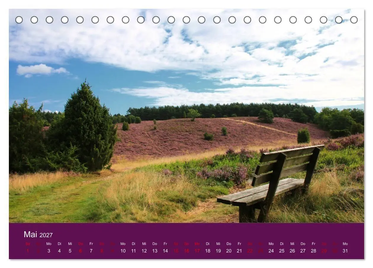 Bild: 9783569847989 | Die Heide blüht (Tischkalender 2027 DIN A5 quer), CALVENDO...