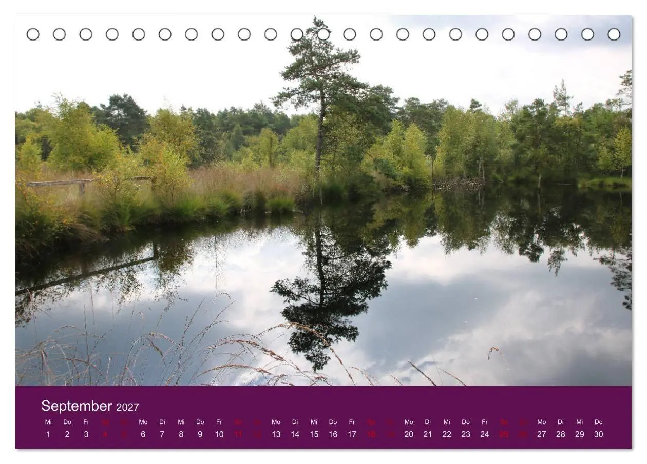 Bild: 9783569847989 | Die Heide blüht (Tischkalender 2027 DIN A5 quer), CALVENDO...