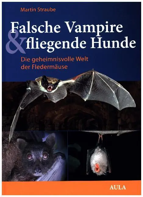 Cover: 9783891047989 | Falsche Vampire, fliegende Hunde | Martin Straube | Buch | 230 S.