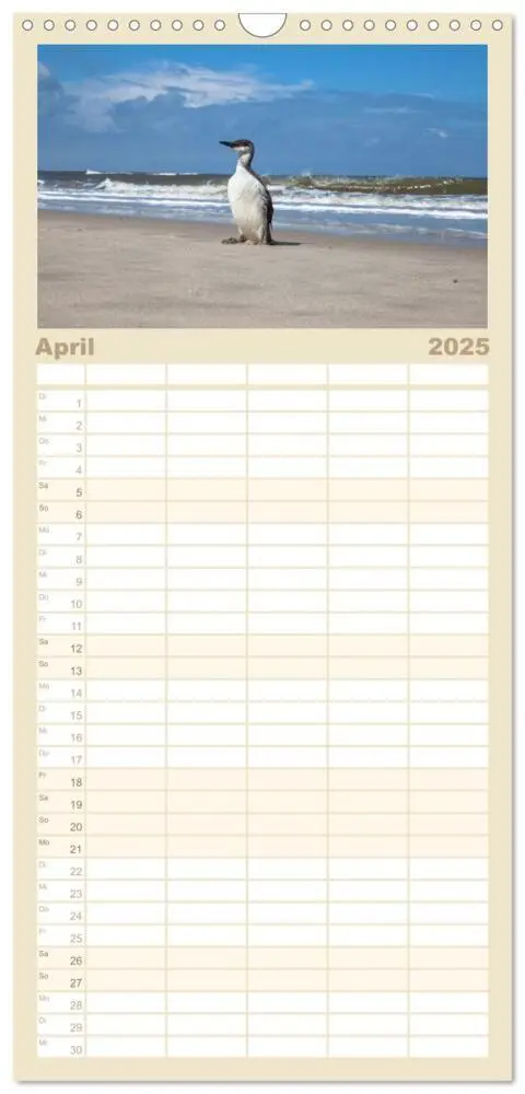 Bild: 9783457098189 | Familienplaner 2025 - Moin Spiekeroog mit 5 Spalten (Wandkalender,...