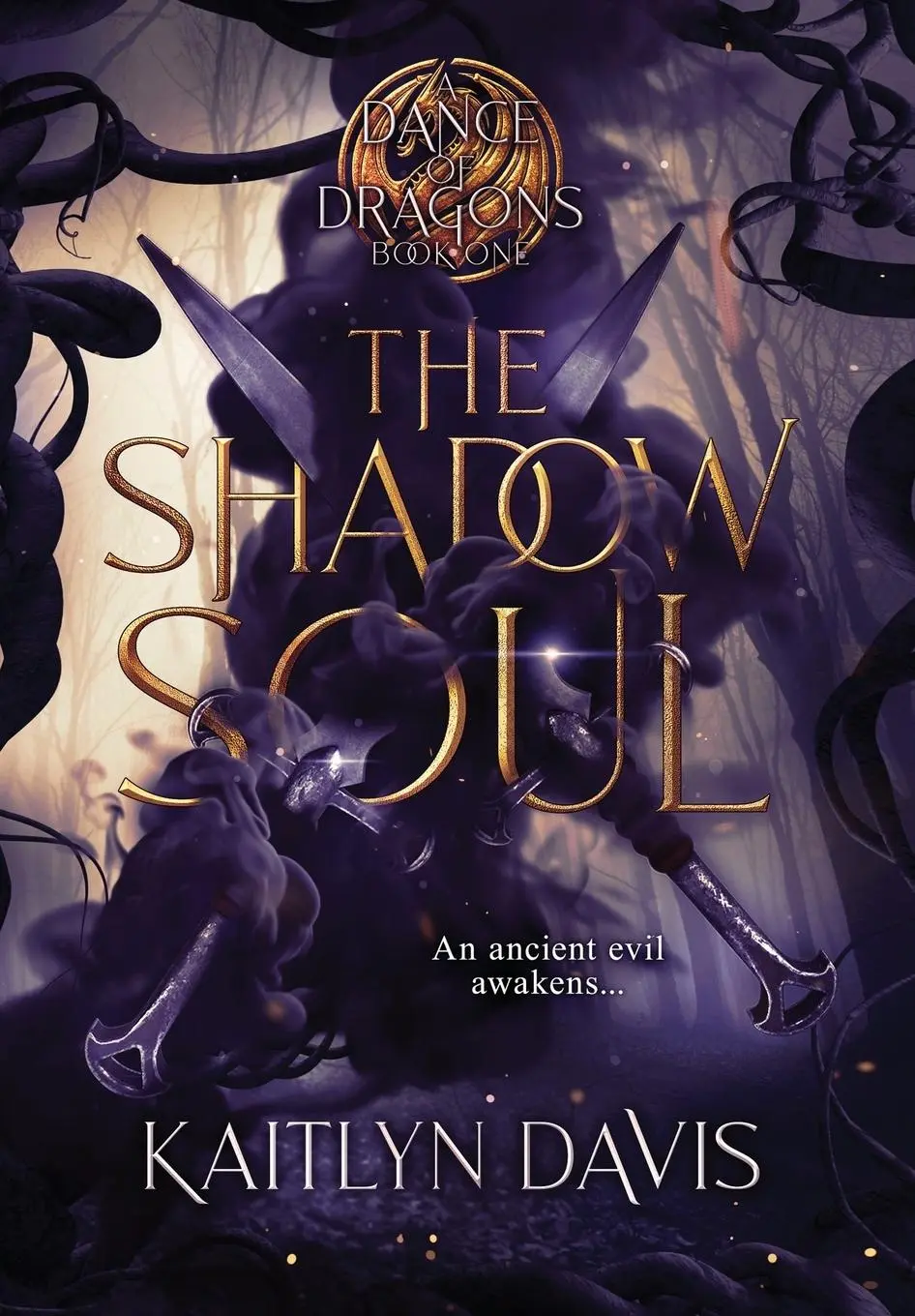Cover: 9781952288289 | The Shadow Soul | Kaitlyn Davis | Buch | Englisch | 2022