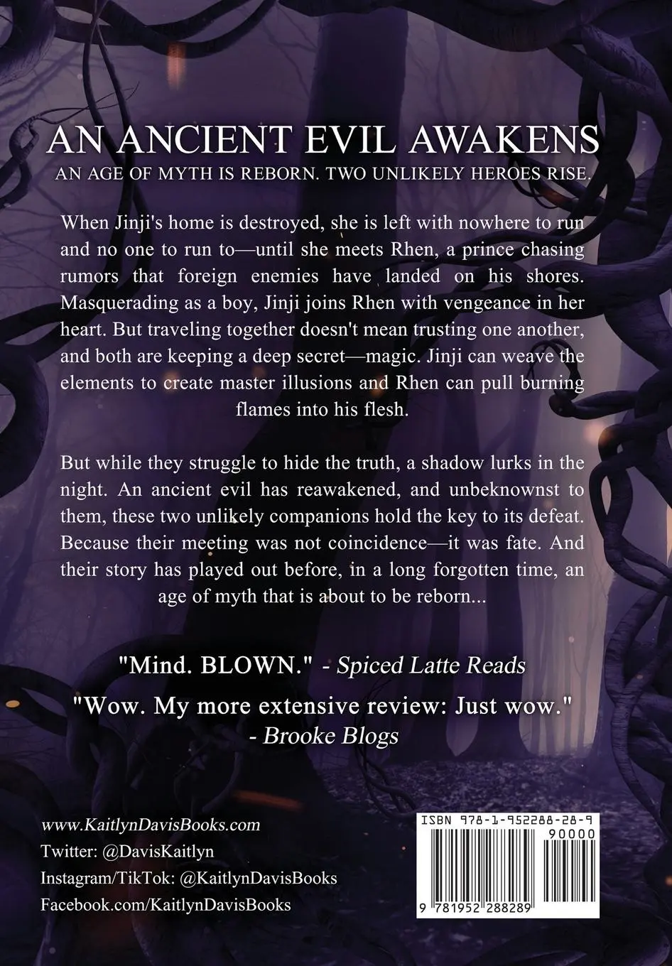 Rückseite: 9781952288289 | The Shadow Soul | Kaitlyn Davis | Buch | Englisch | 2022